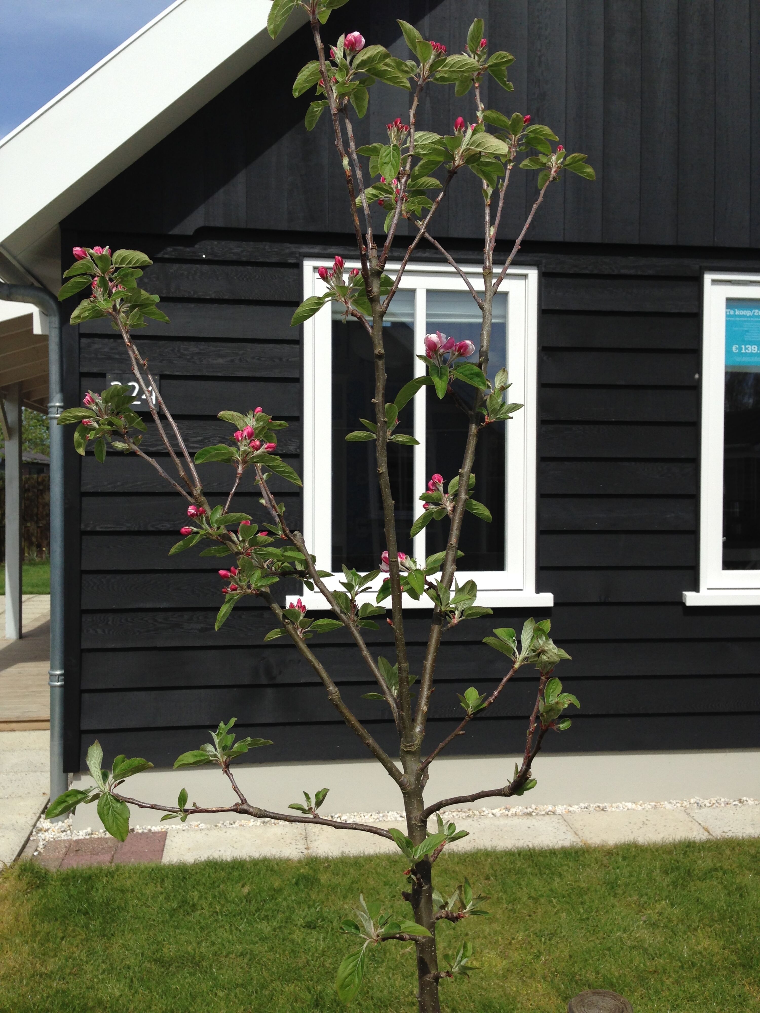 Bild 14