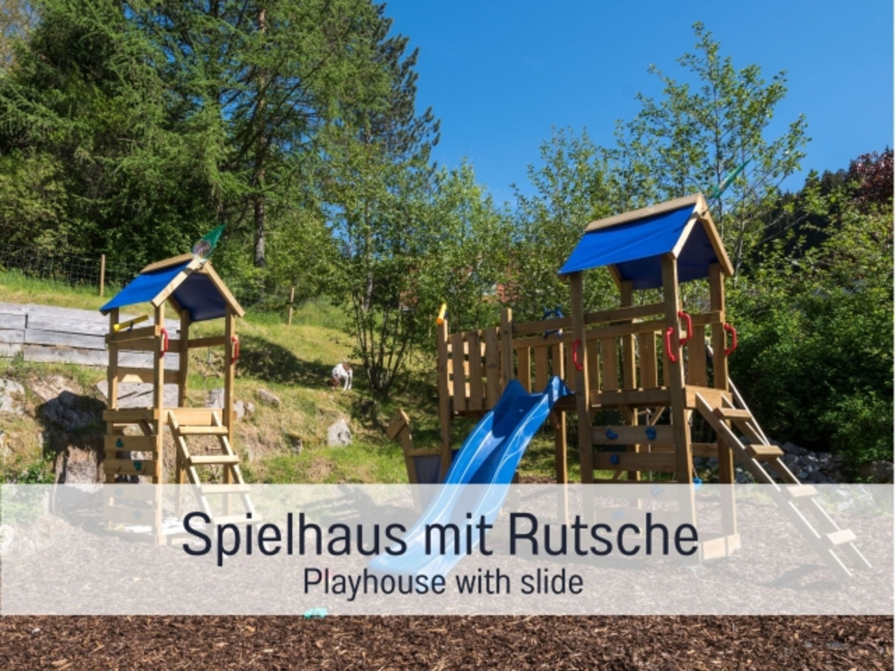 Bild 6