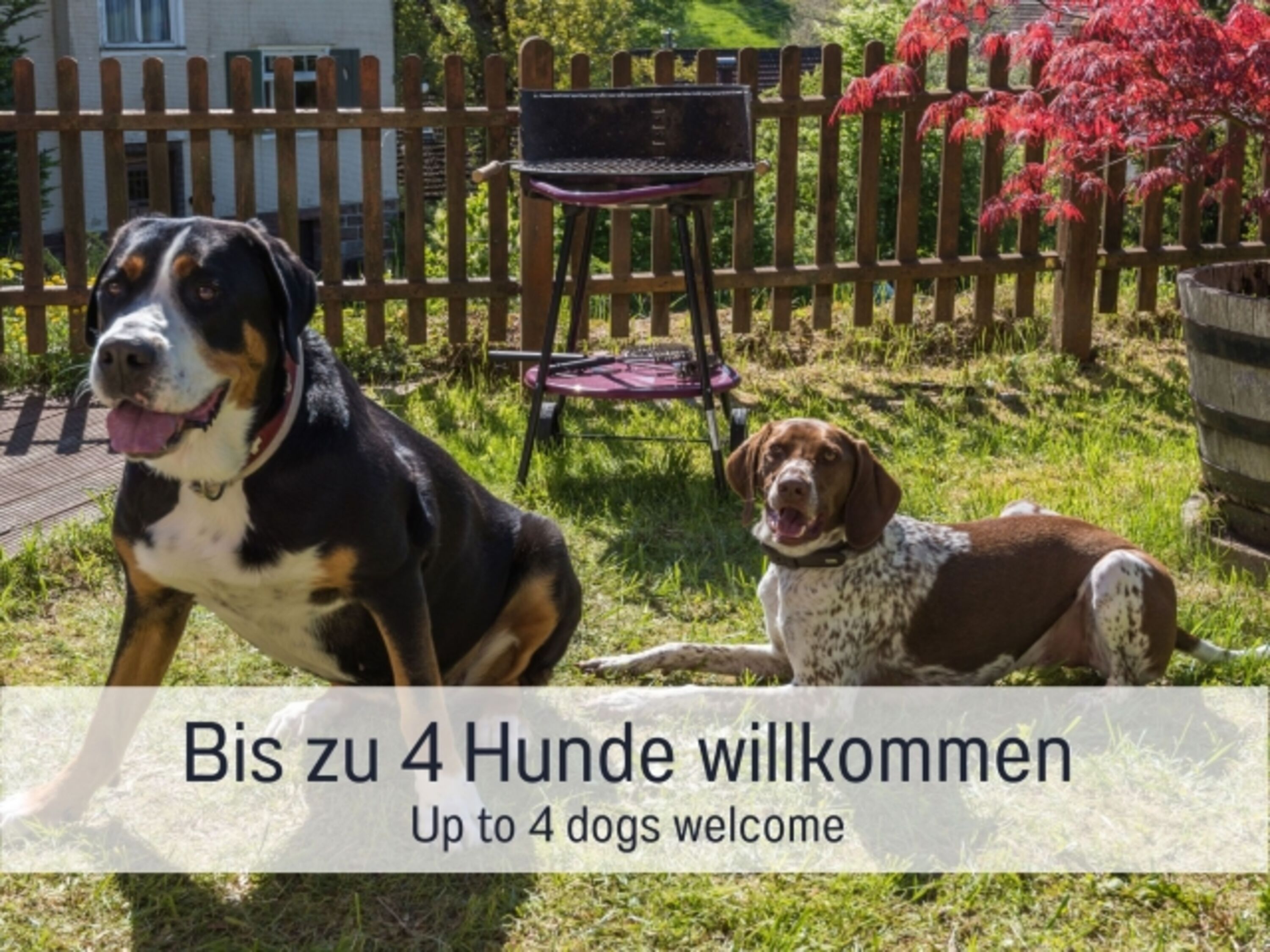 Bild 4