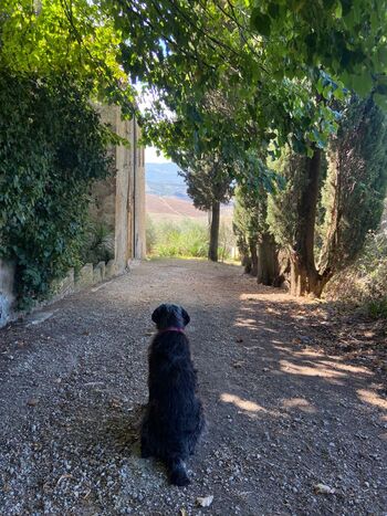 Der Weg zum Unteren Garten