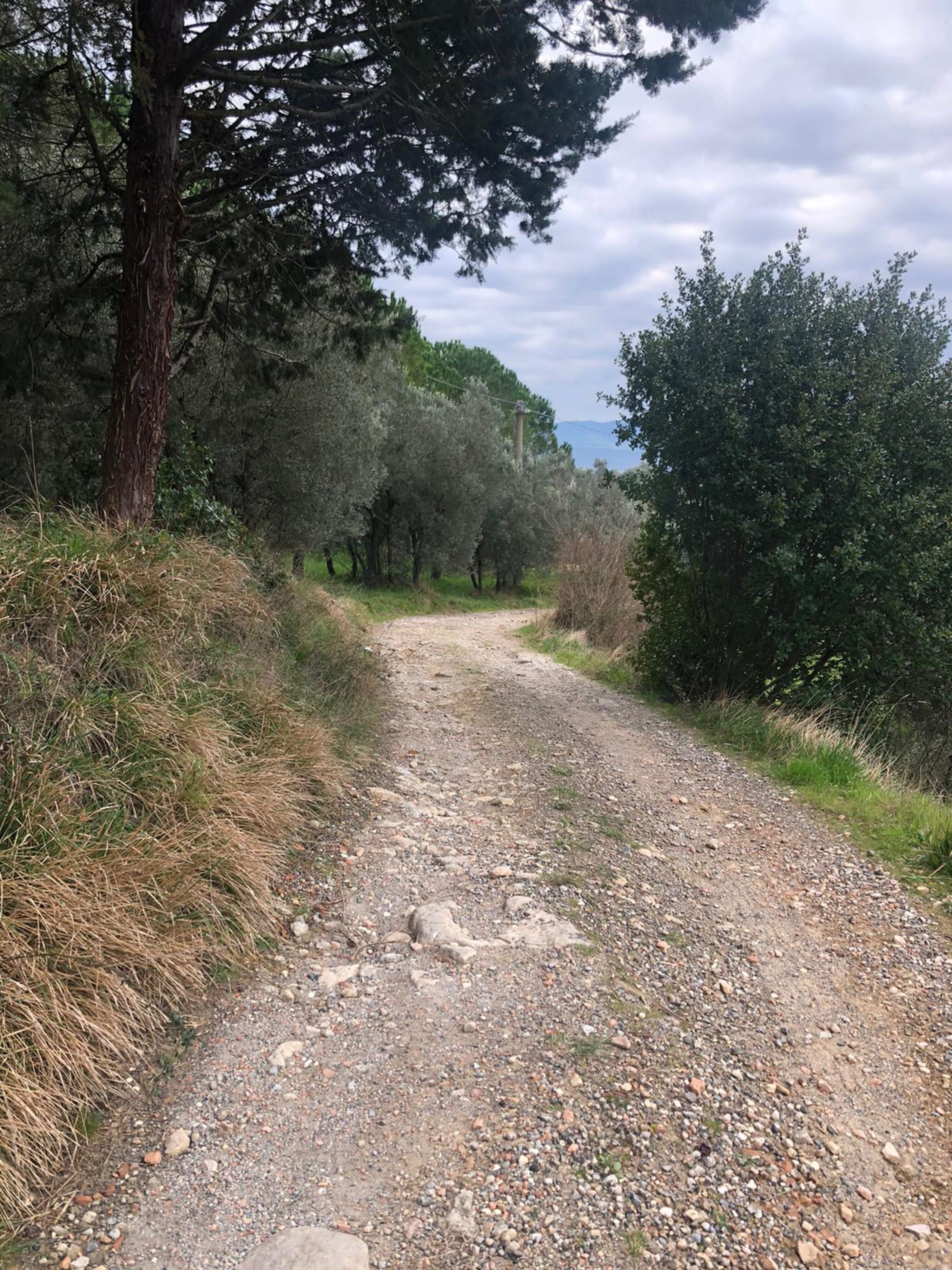 Der Weg zu uns, nicht ganz einfach, aber es zahlt sich aus