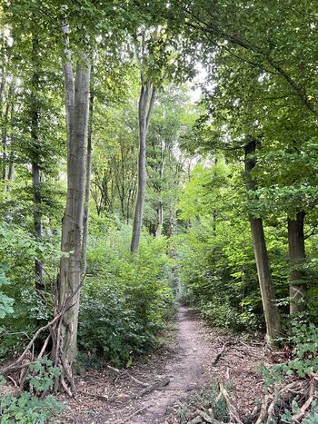 Natur pur
