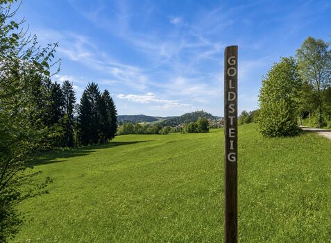Fernwanderweg Goldsteig direkt vor der Haustür