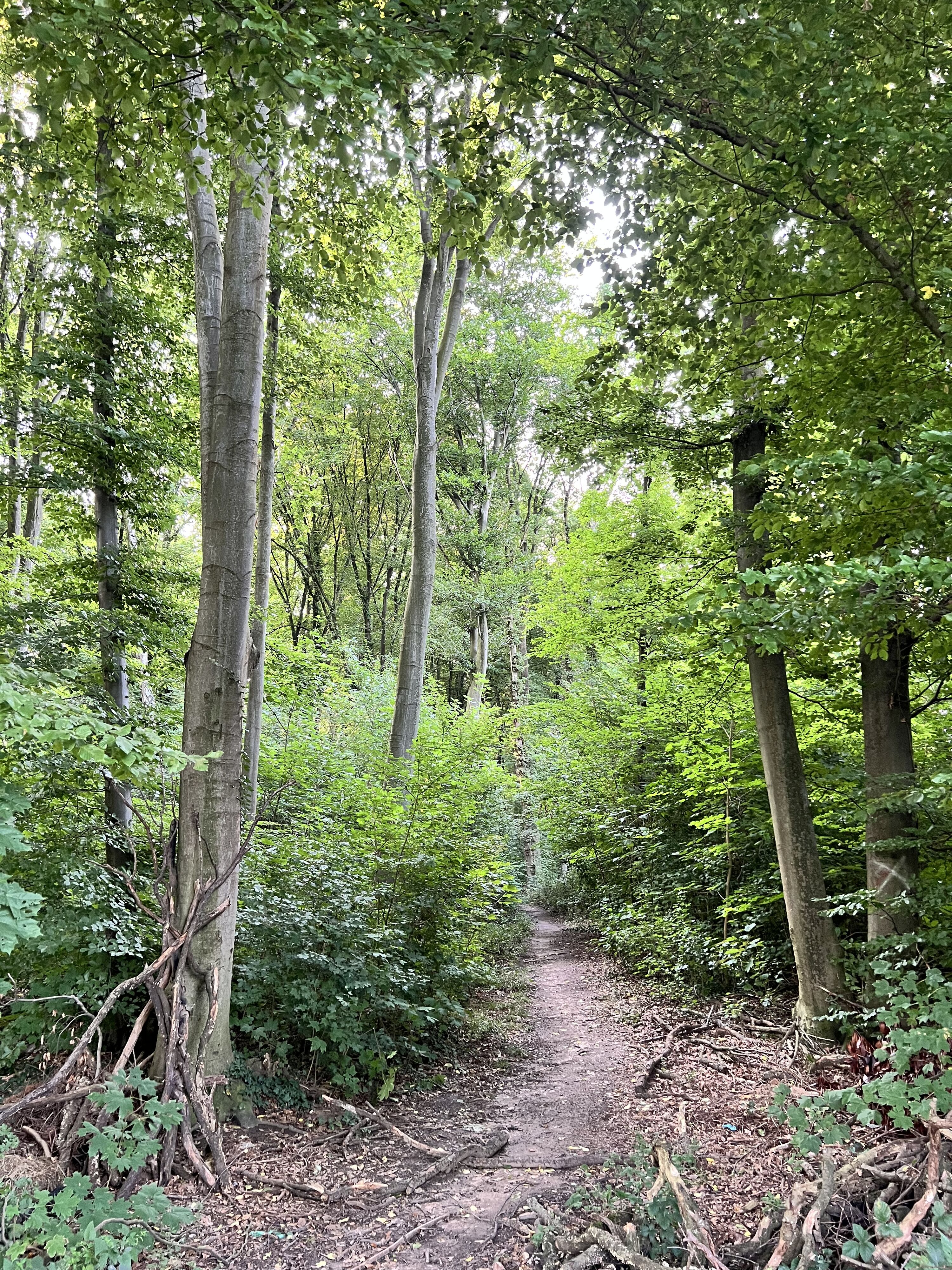 Natur pur
