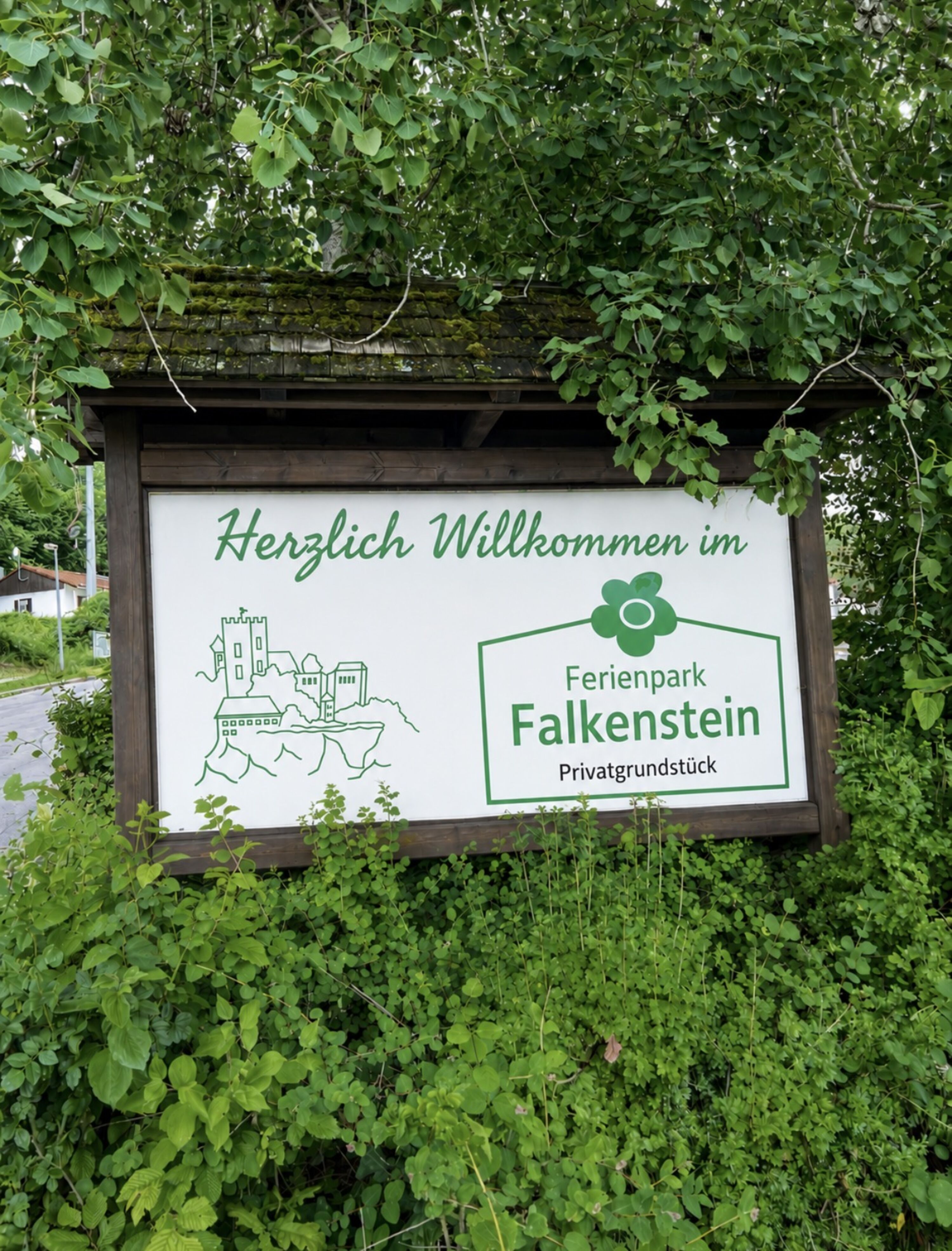 Bild 19