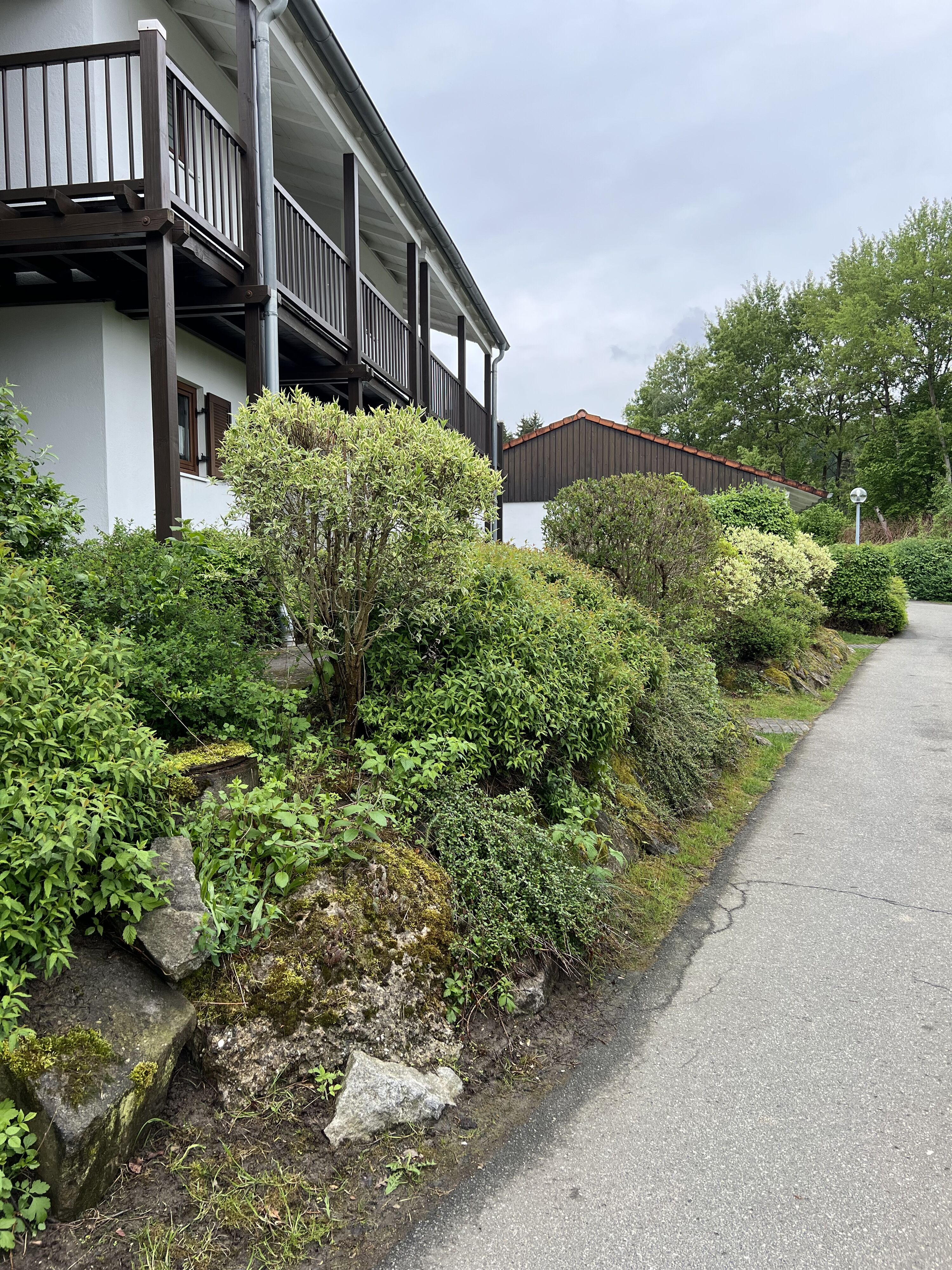 Bild 18