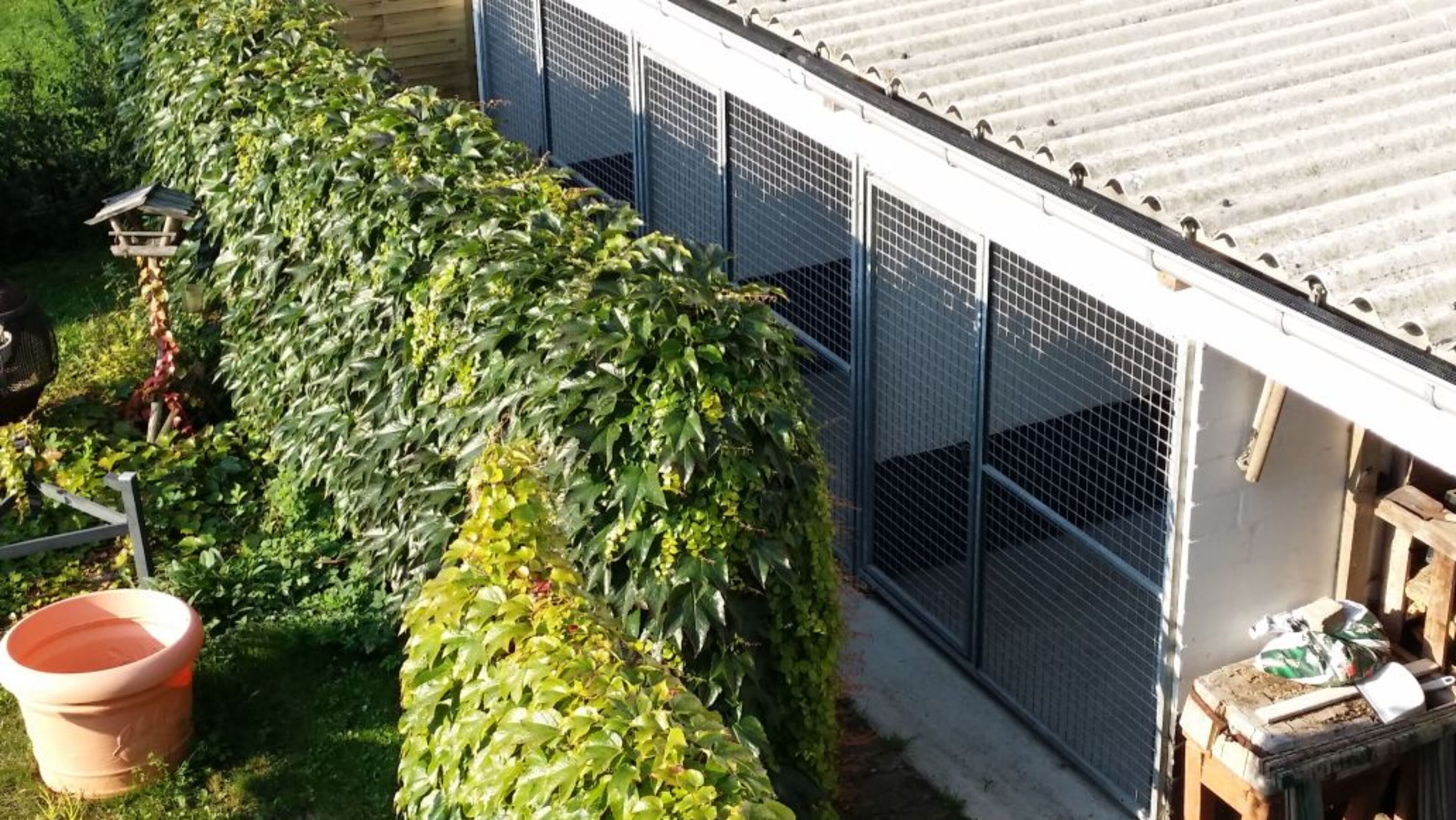 Ihre Hunde wohnen mit Ihnen in der Ferienwohnung. Für den Fall, dass Sie Zuhause einen Zwinger nutzen, befinden sich in einem Nebengebäude 3 großzügige Hundezwinger a 11 qm, jeweils mit Hundehütte innen und einem nach vorne offenen Bereich.
