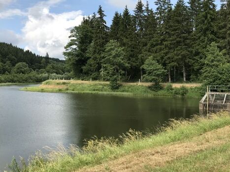 Stausee Jünkerath/Glaadt nur 1 km entfernt