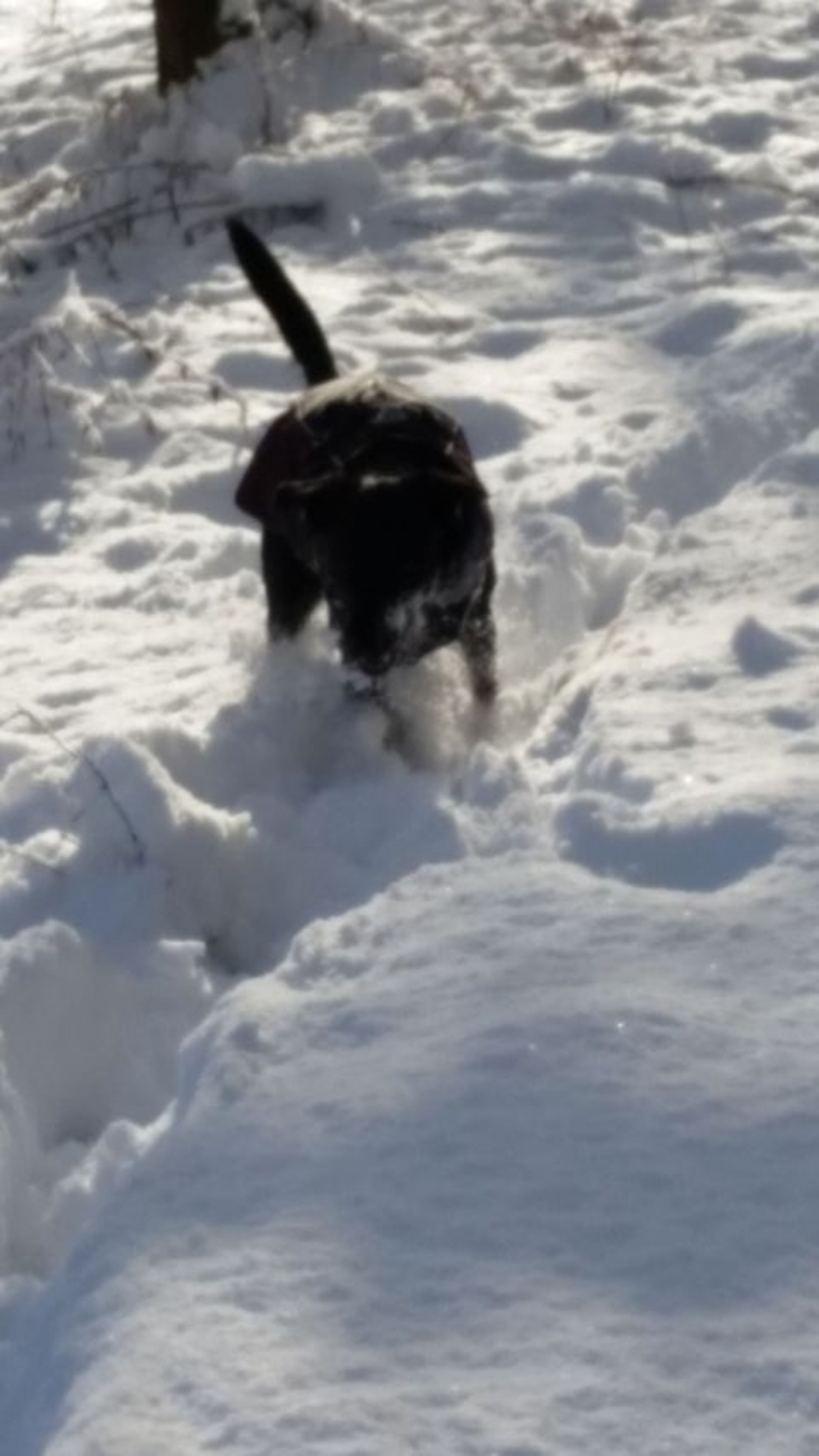Spaß im Winter