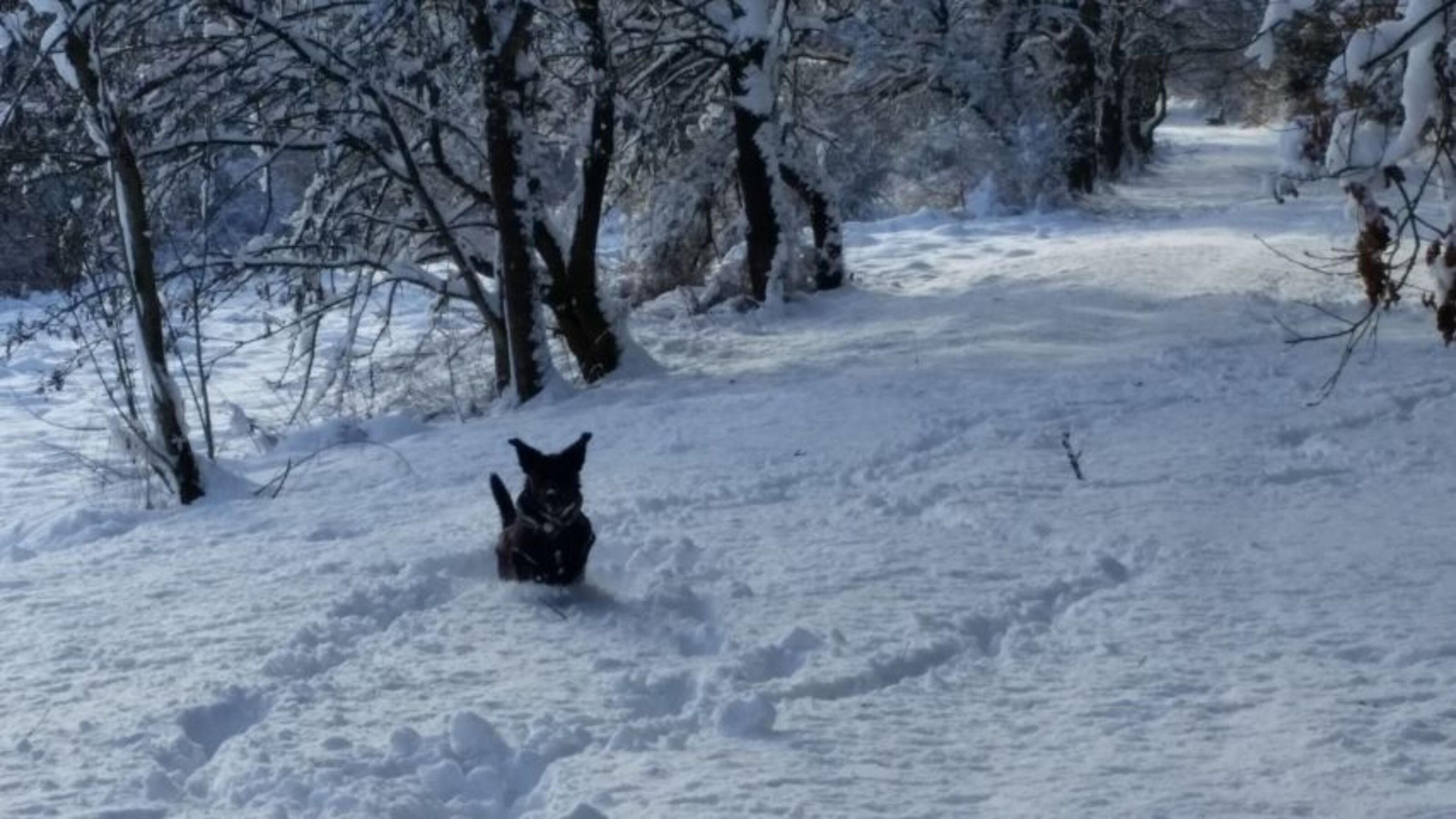 Vergnügen im Schnee