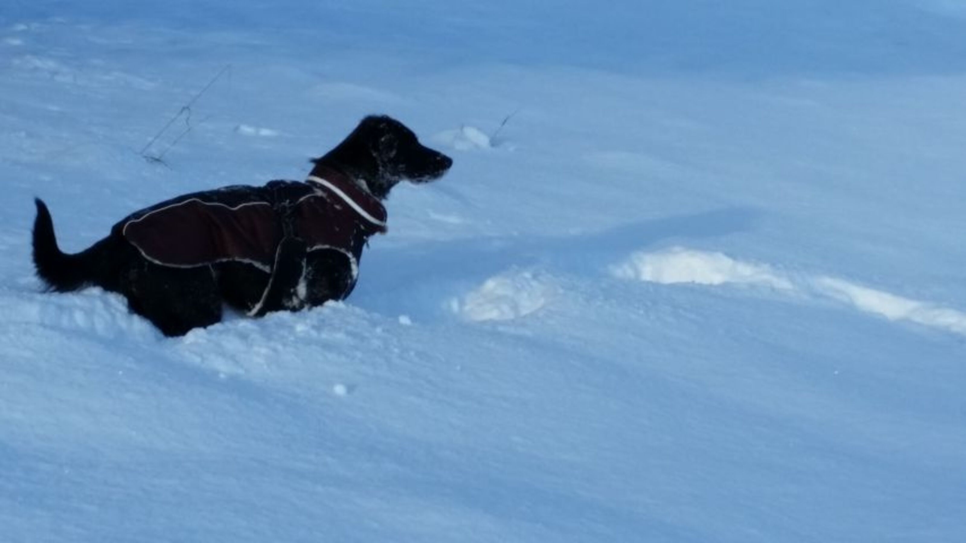 Spaß im Winter 