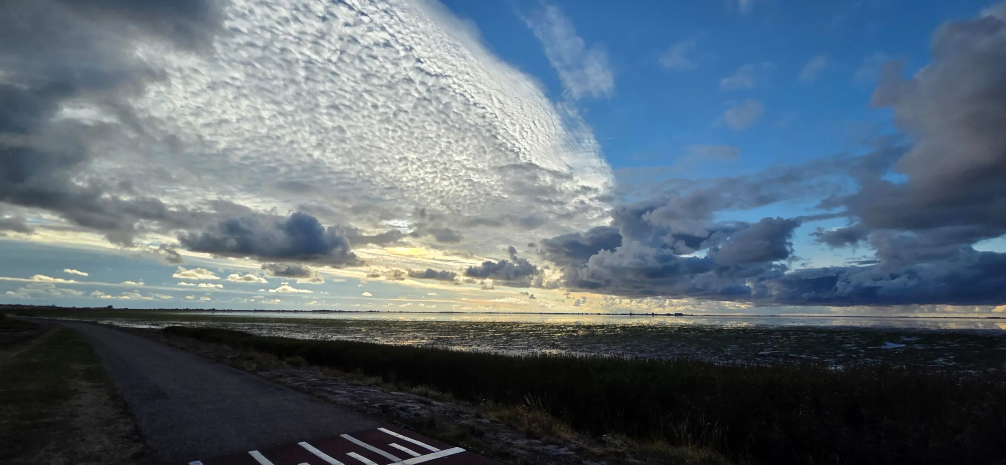 Wattenmeer am Platz Camping Zeezicht