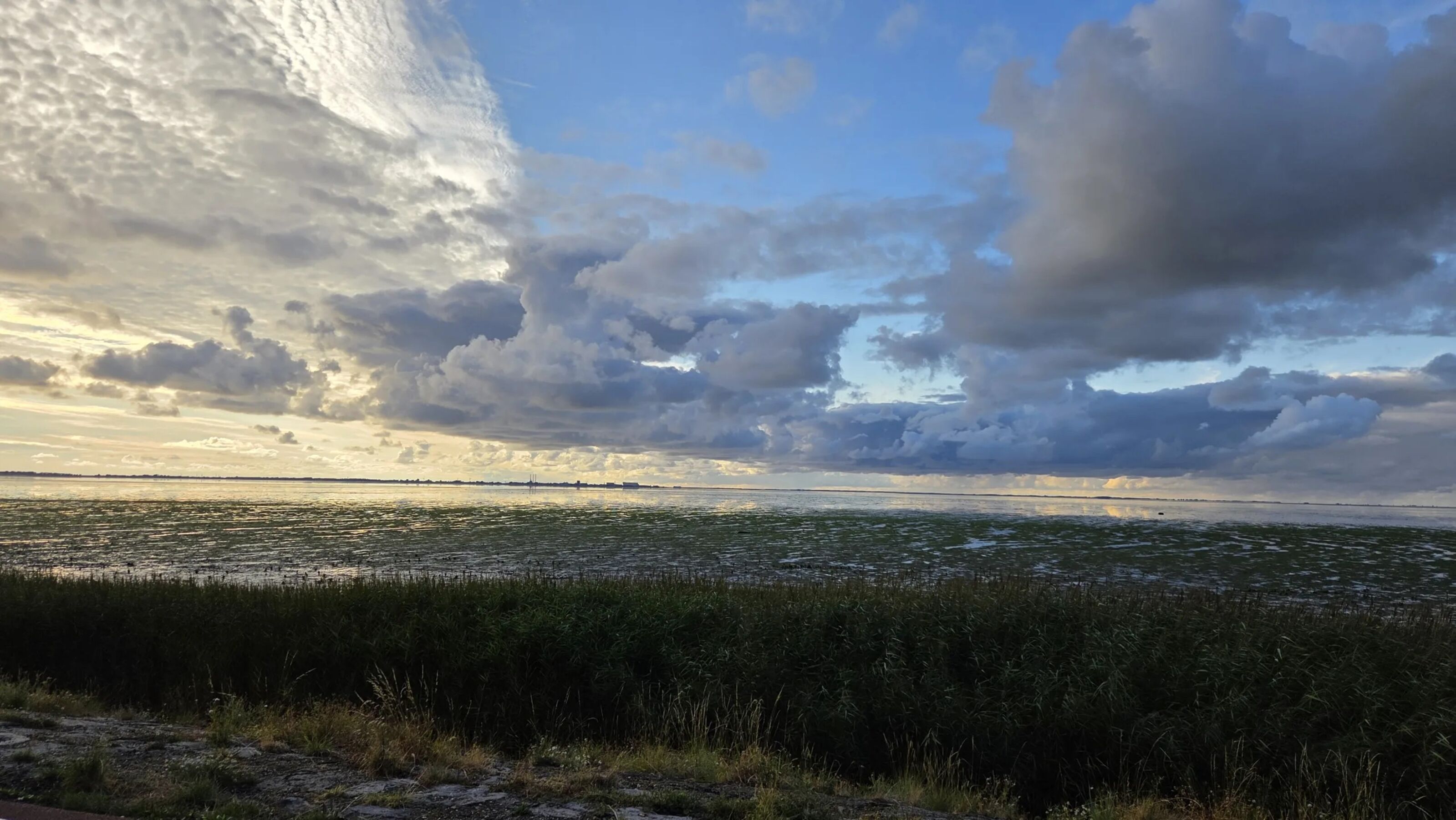 Wattenmeer am Platz Camping Zeezicht