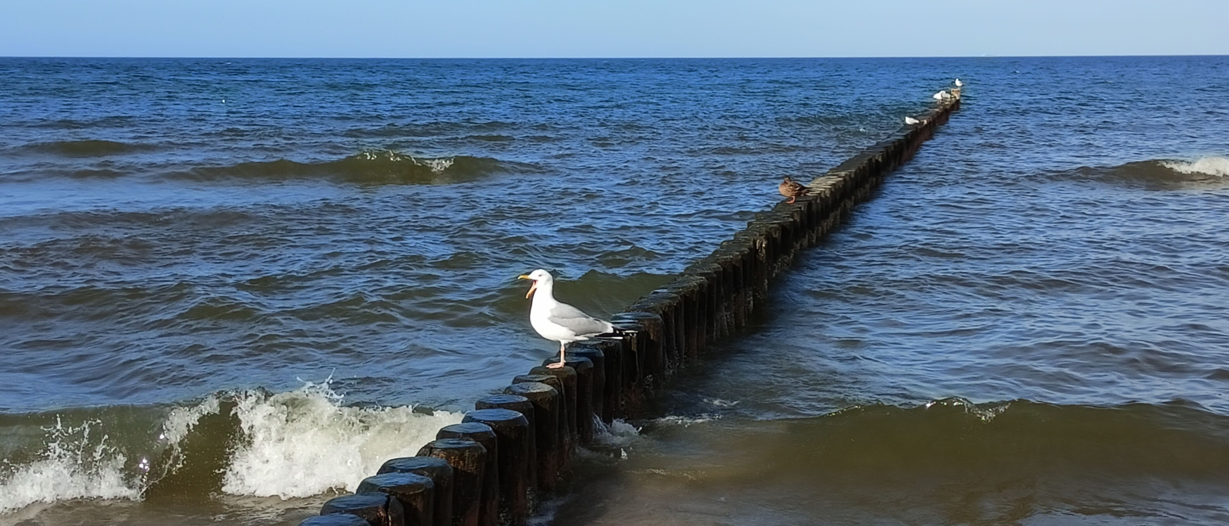 Am Strand