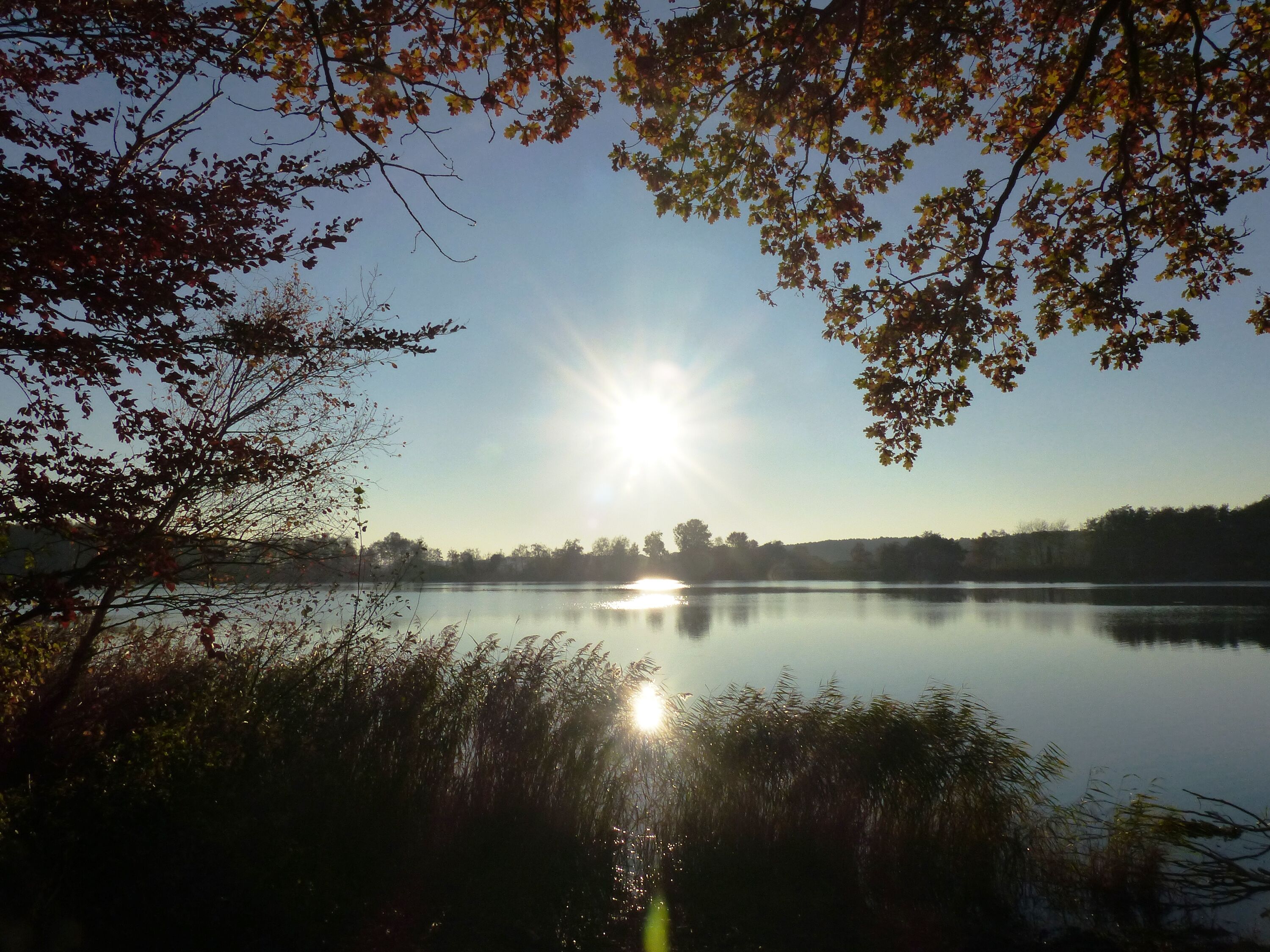 Der Kölpinsee