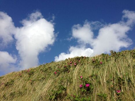 Endlich ankommen - Strandperle Sylt in Westerland