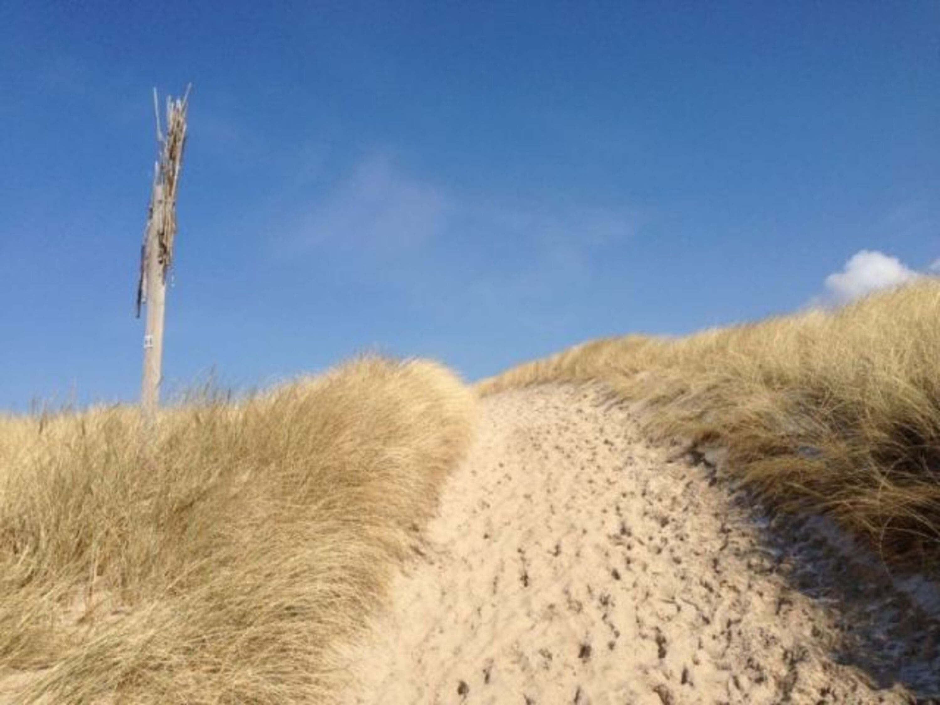 Ihr Weg zum Strand