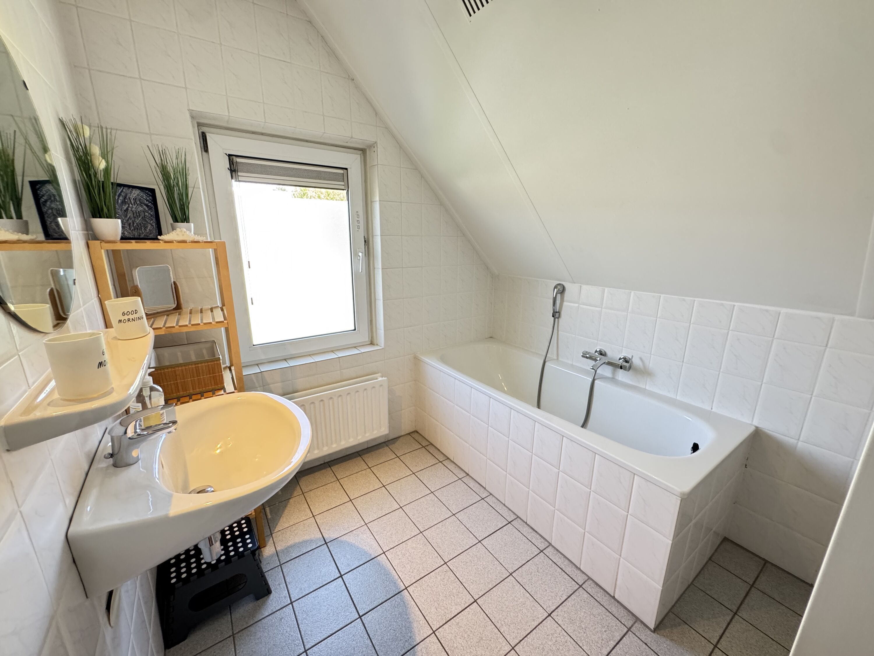 Bild 19