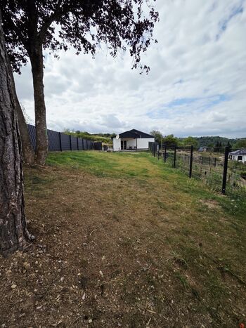 Eifel Urlaub mit Hund in Waldrandlage Ferienwohnung 