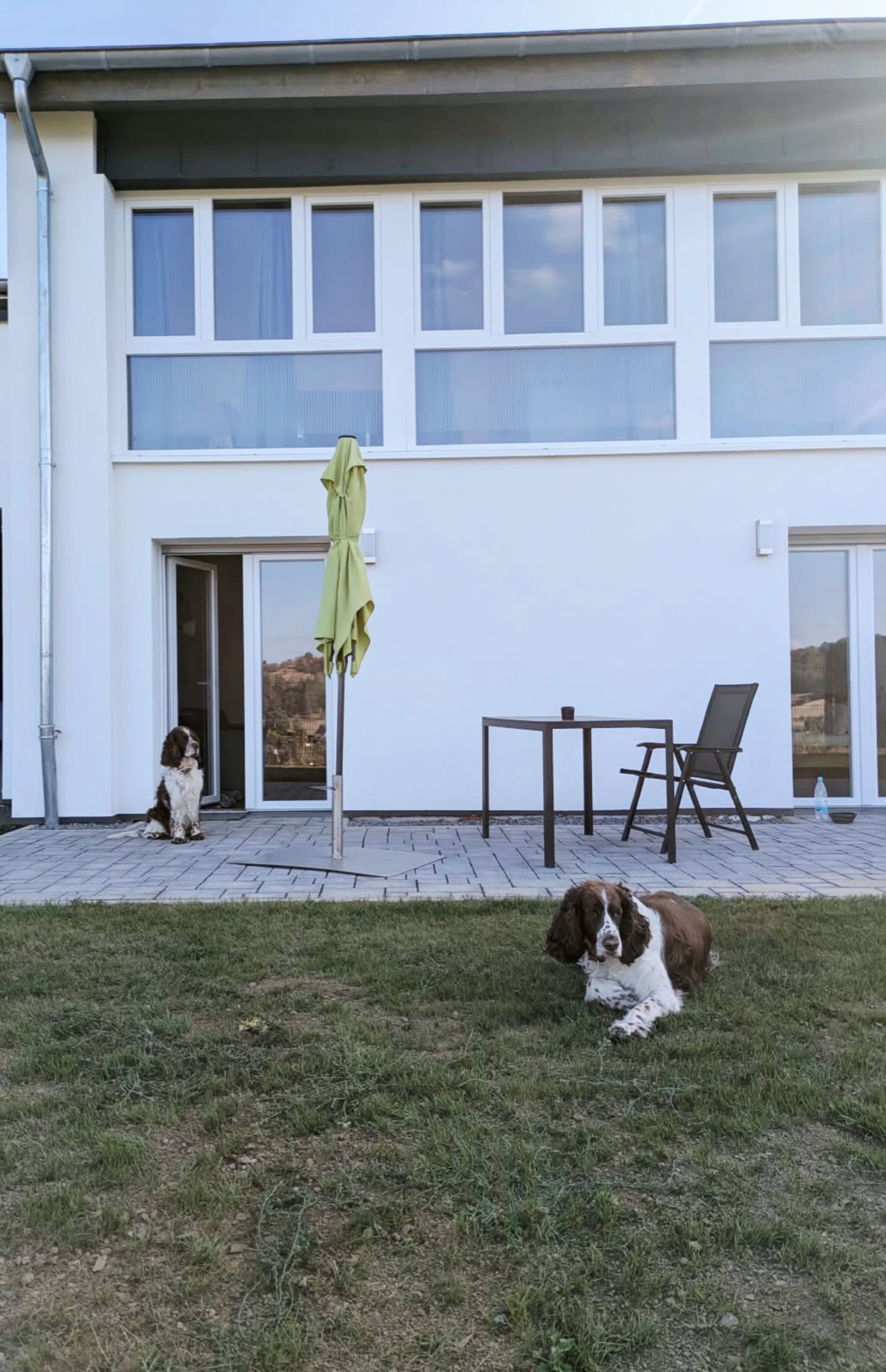 Bild 16