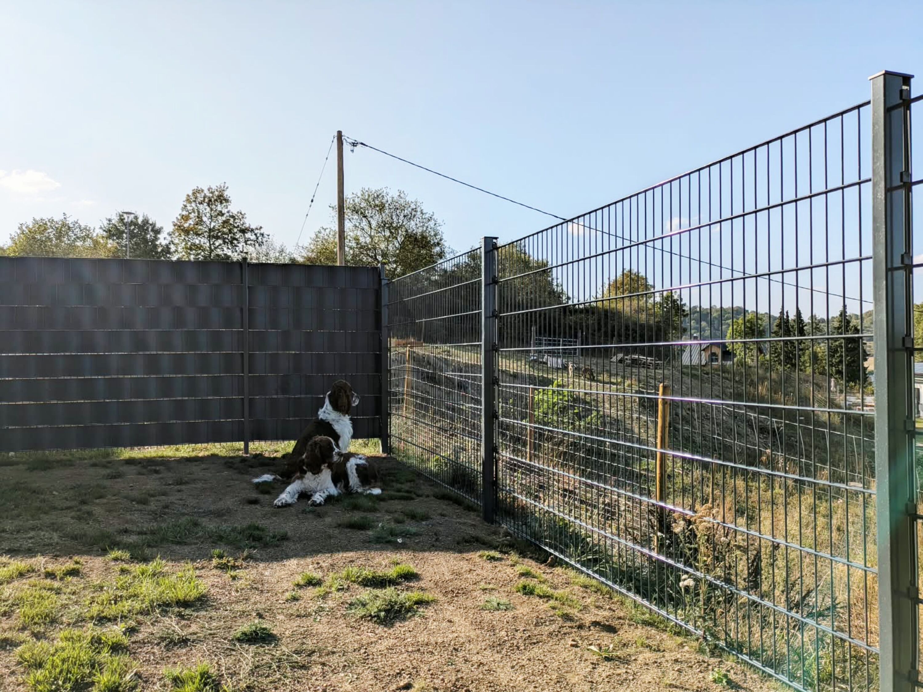 Bild 17