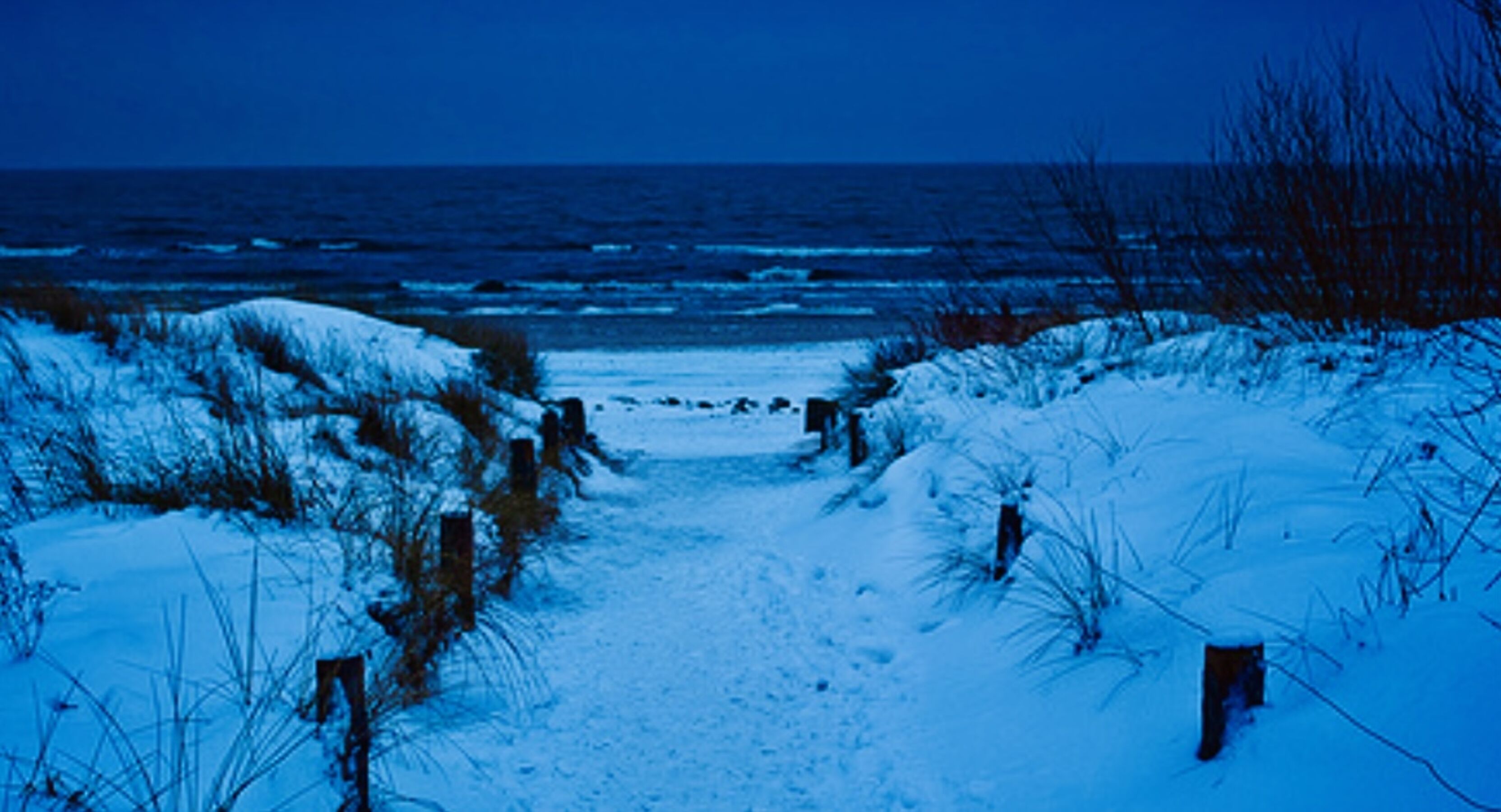 Bild 19