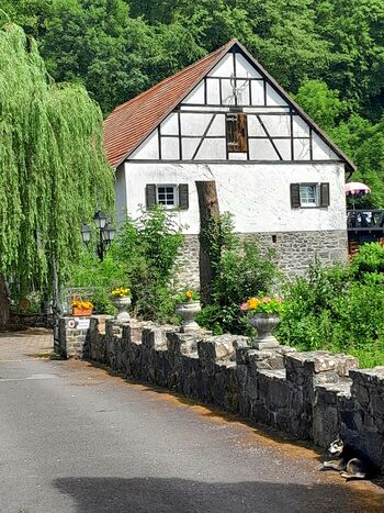Ferienwohnung auf der Hohlmühle im Vogelsberg Hessen absolu ...