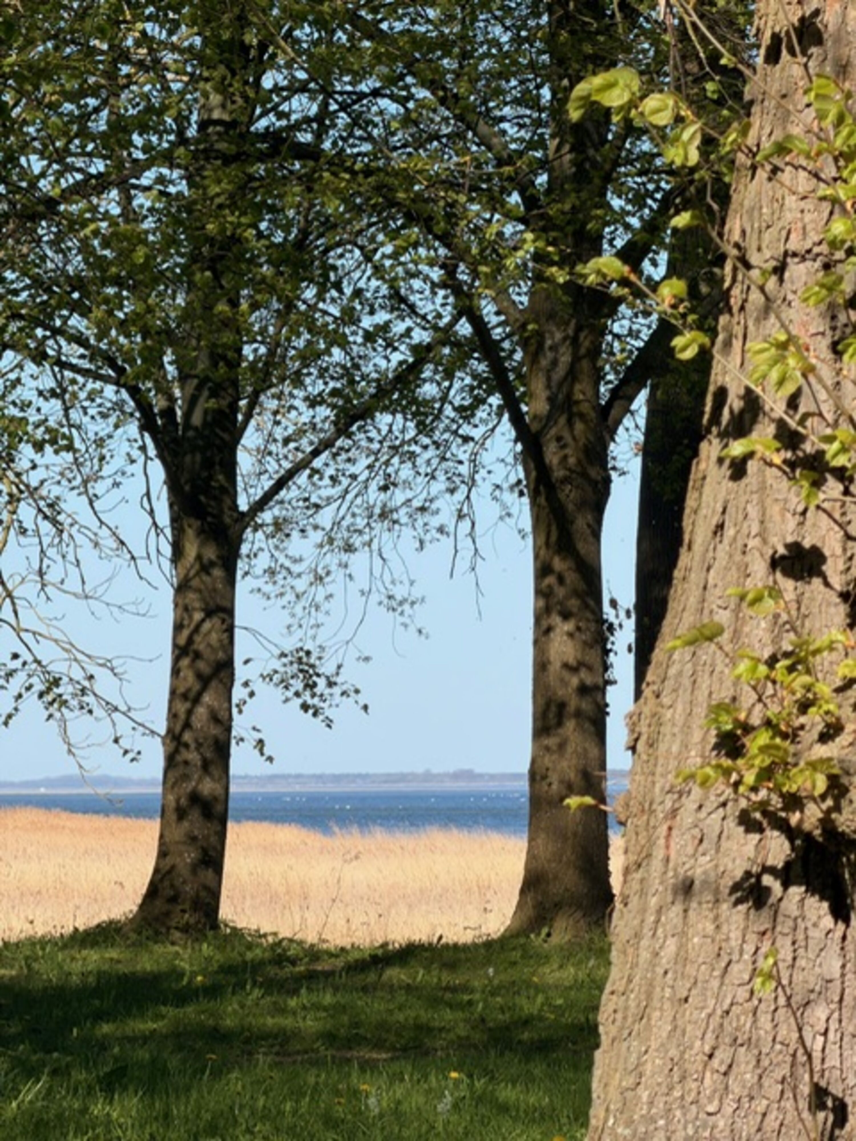 Umgebung