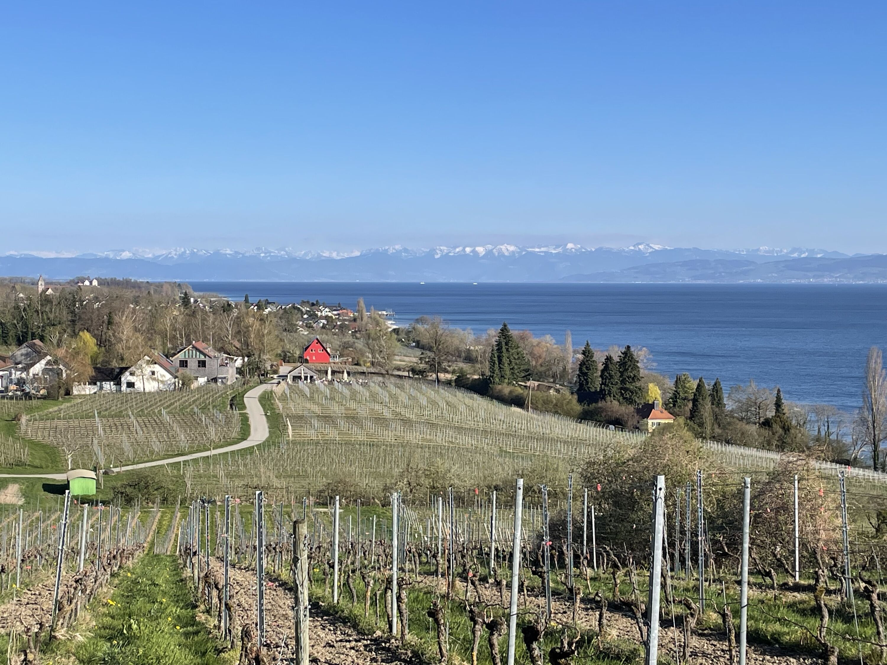 Höhenweg bei Meersburg