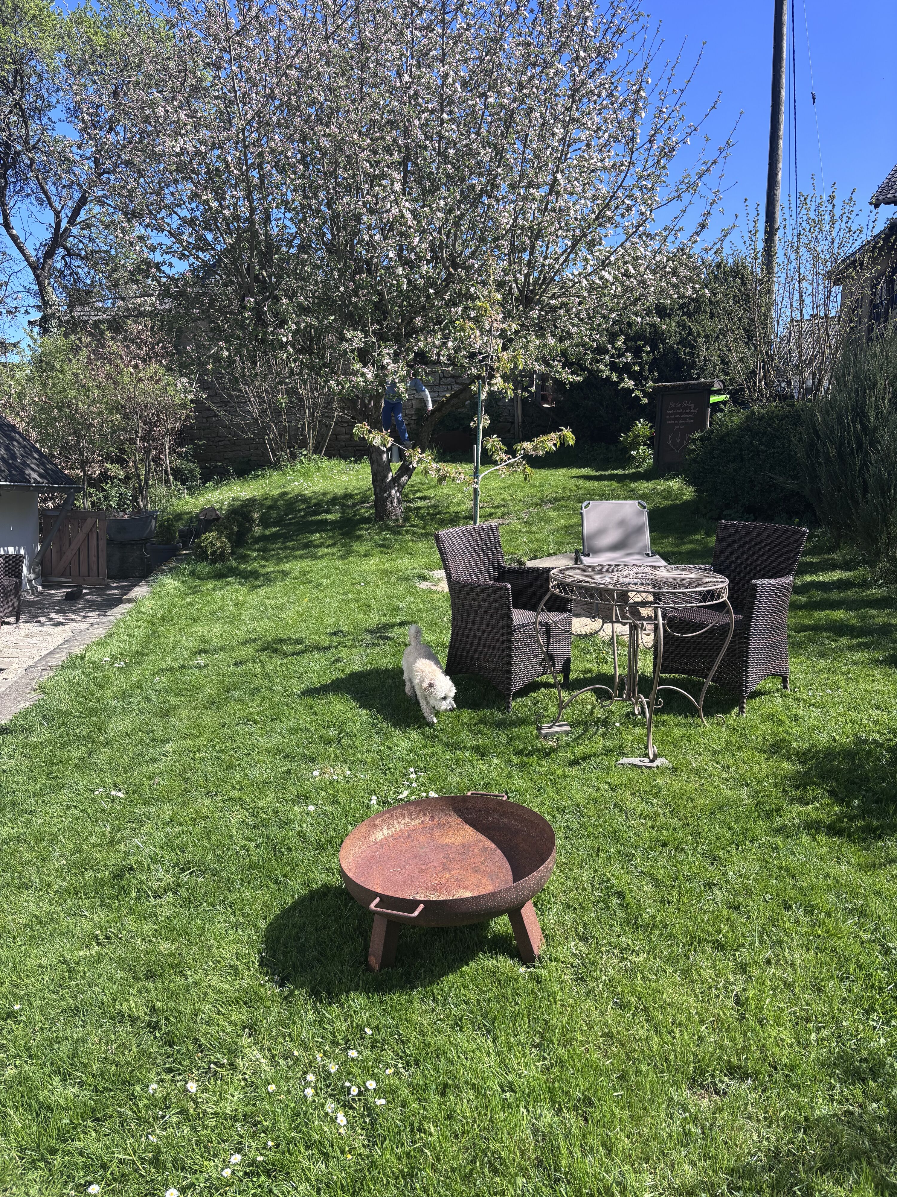 Garten