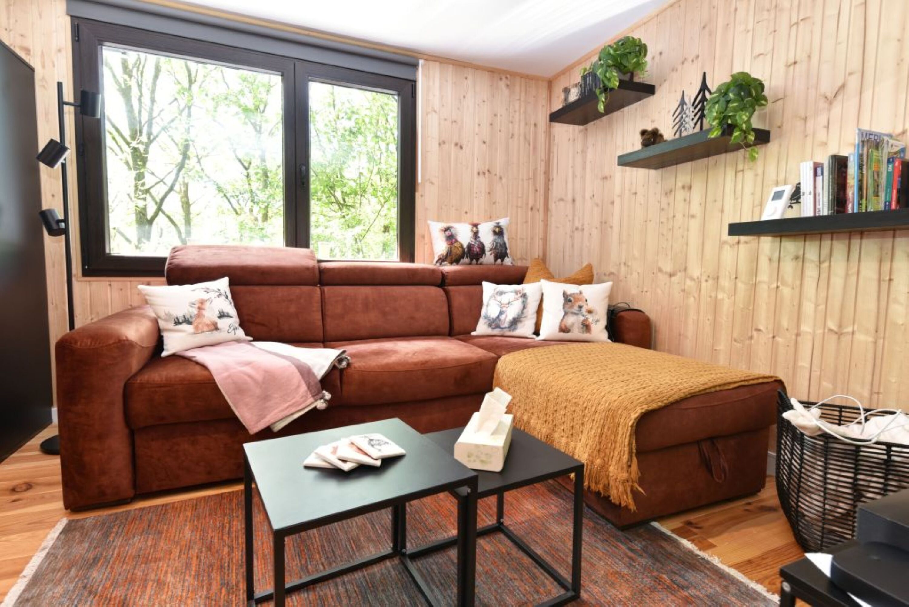 Wohnzimmer & Couch