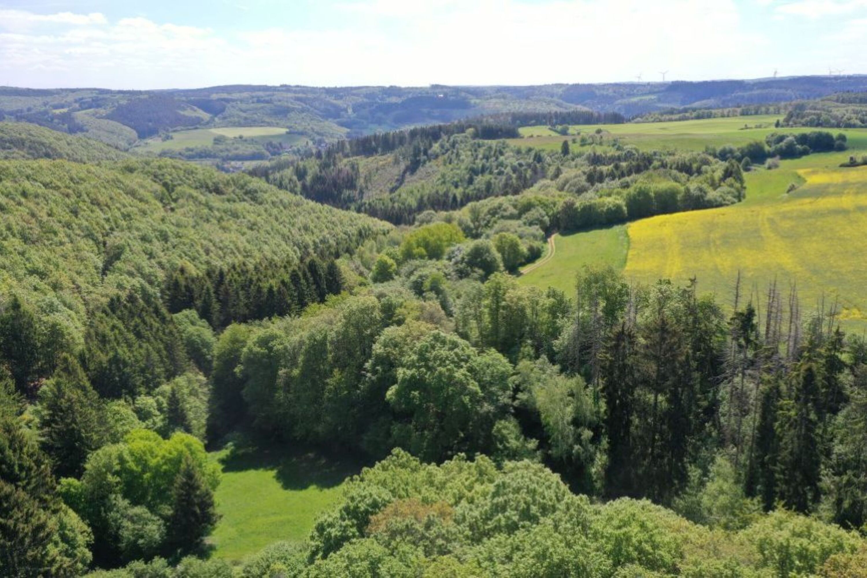 Blick mit der Drohne direkt oberhalb vom Chalet