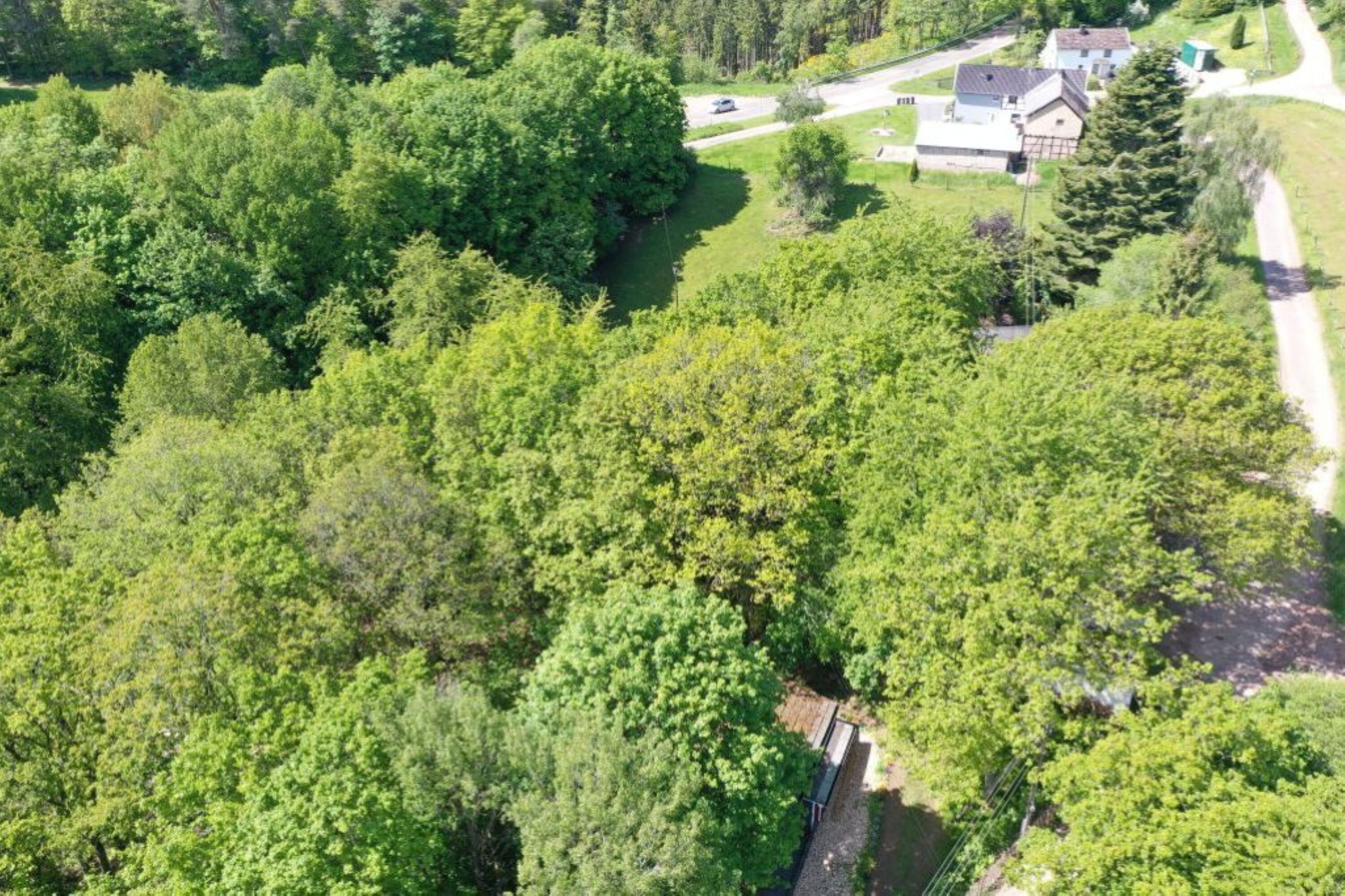 Die nächsten Nachbarn und die Landstraße