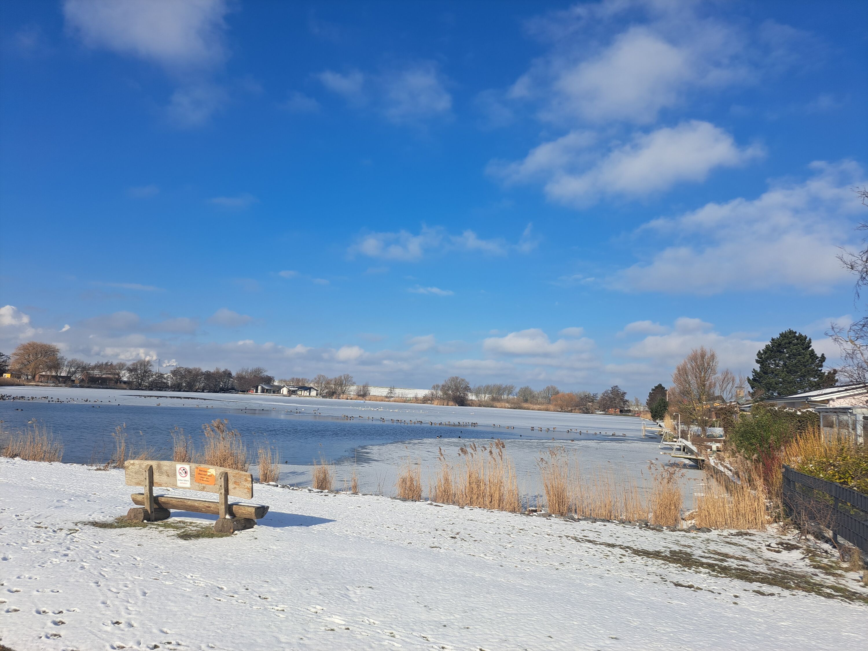 Binnensee mit Hundestrand