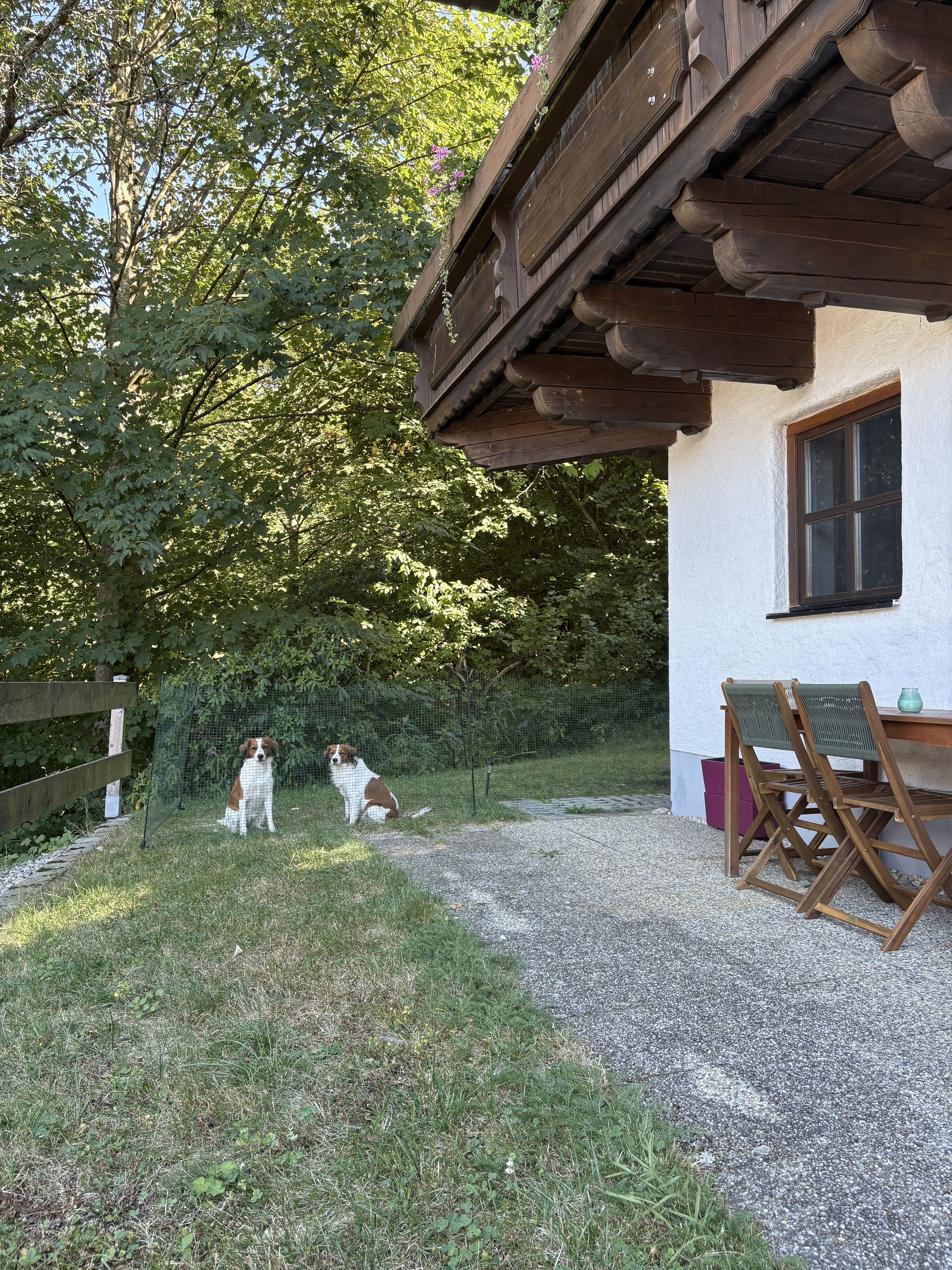 Bild 25