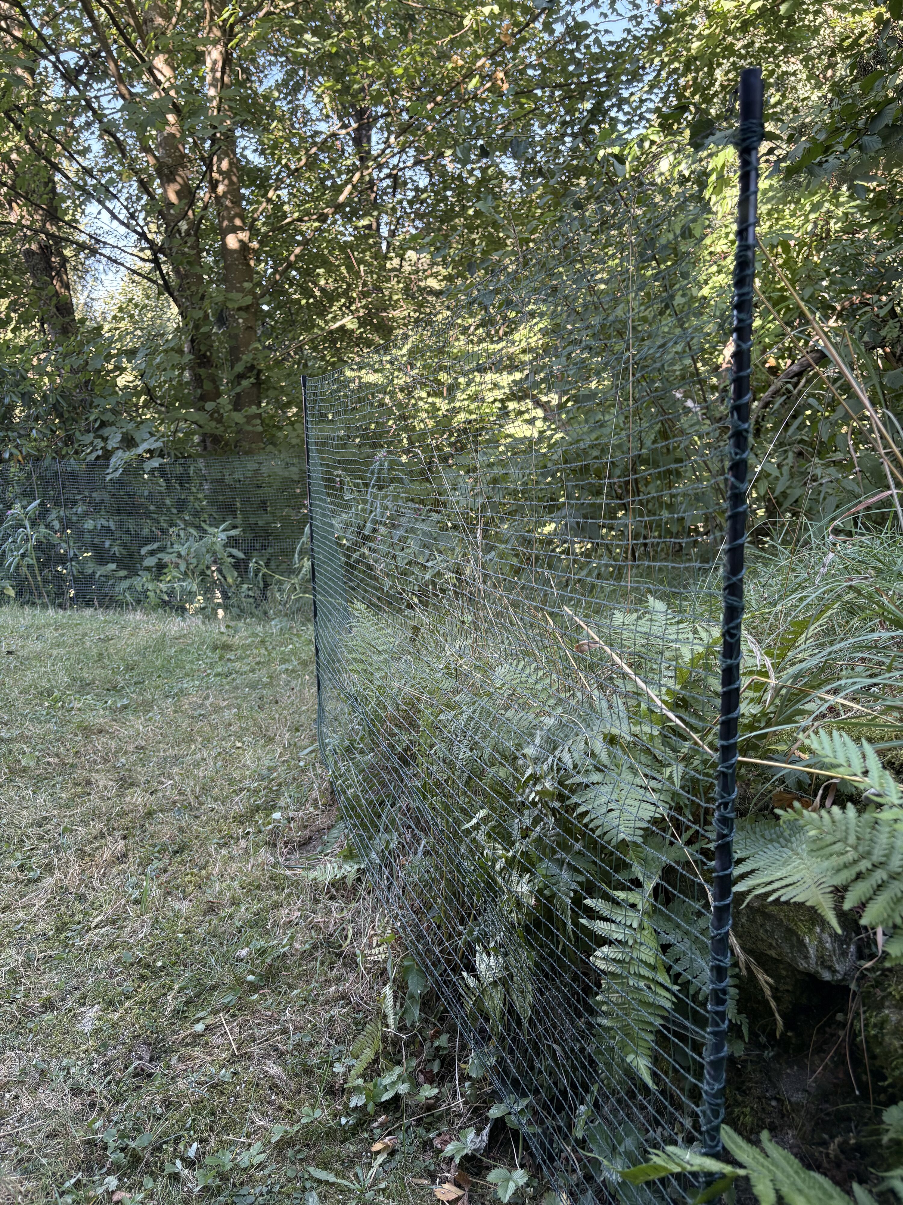 Bild 13