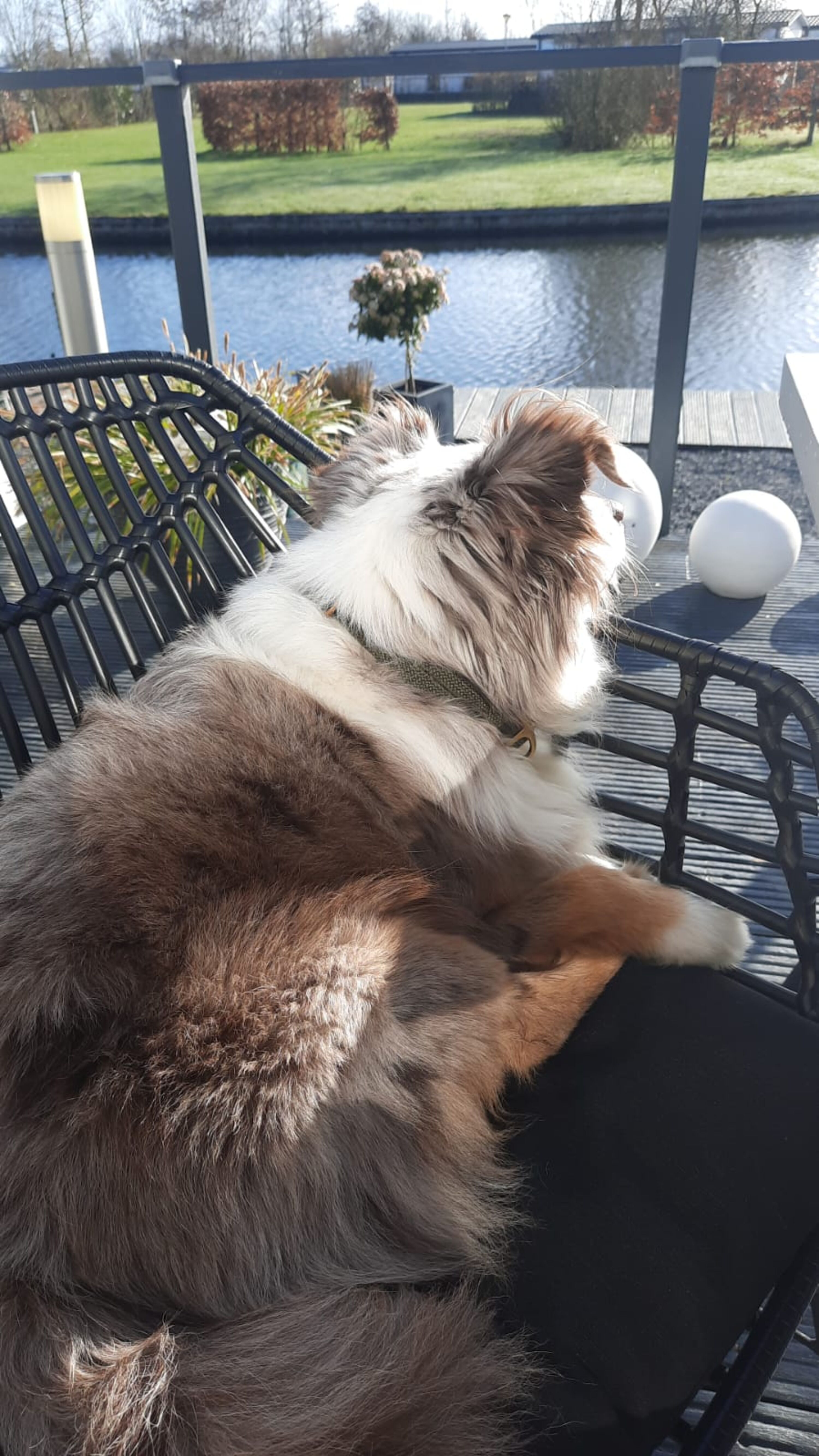 Hunde herzlich willkommen
