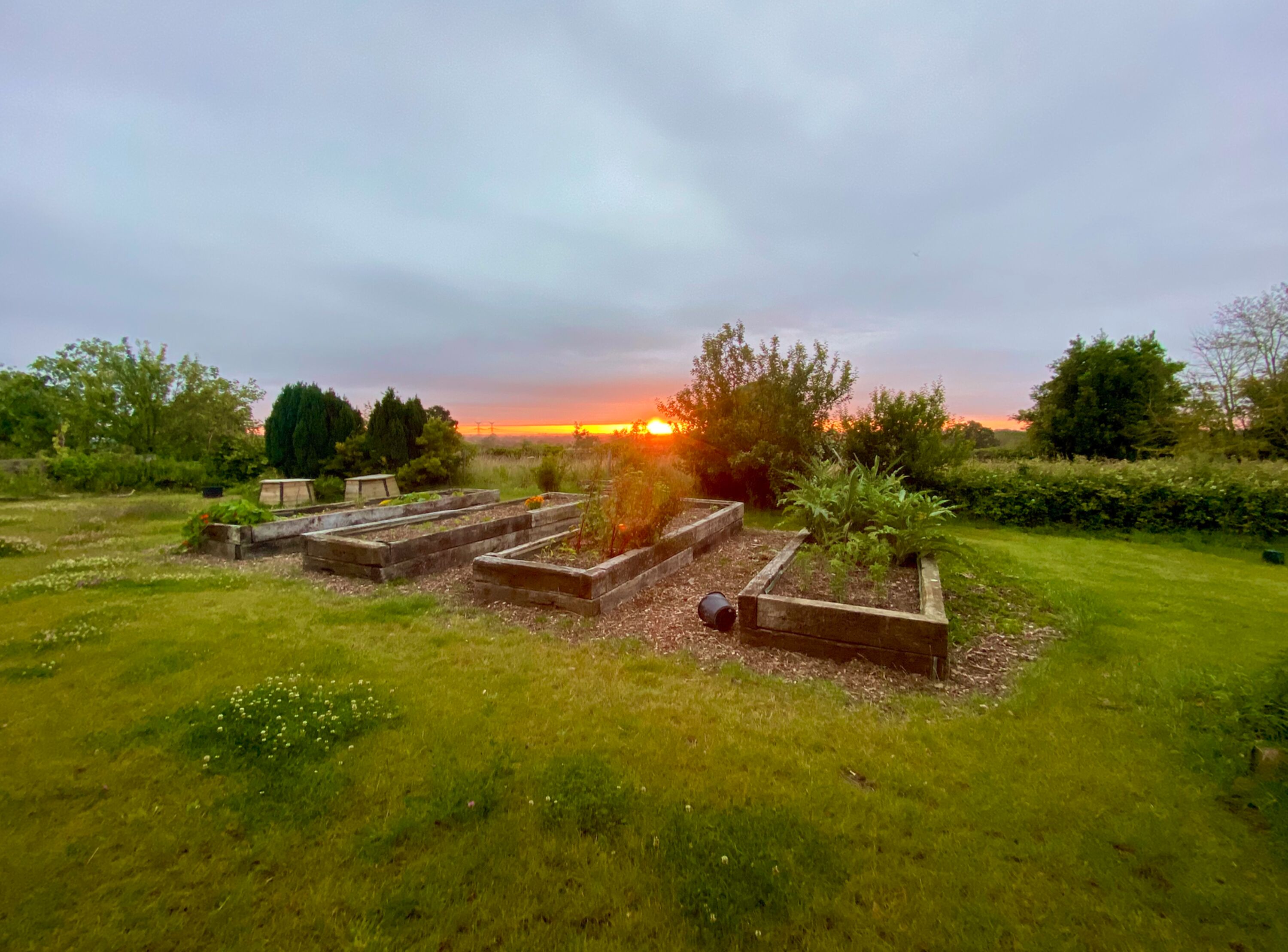 Gemüsegarten