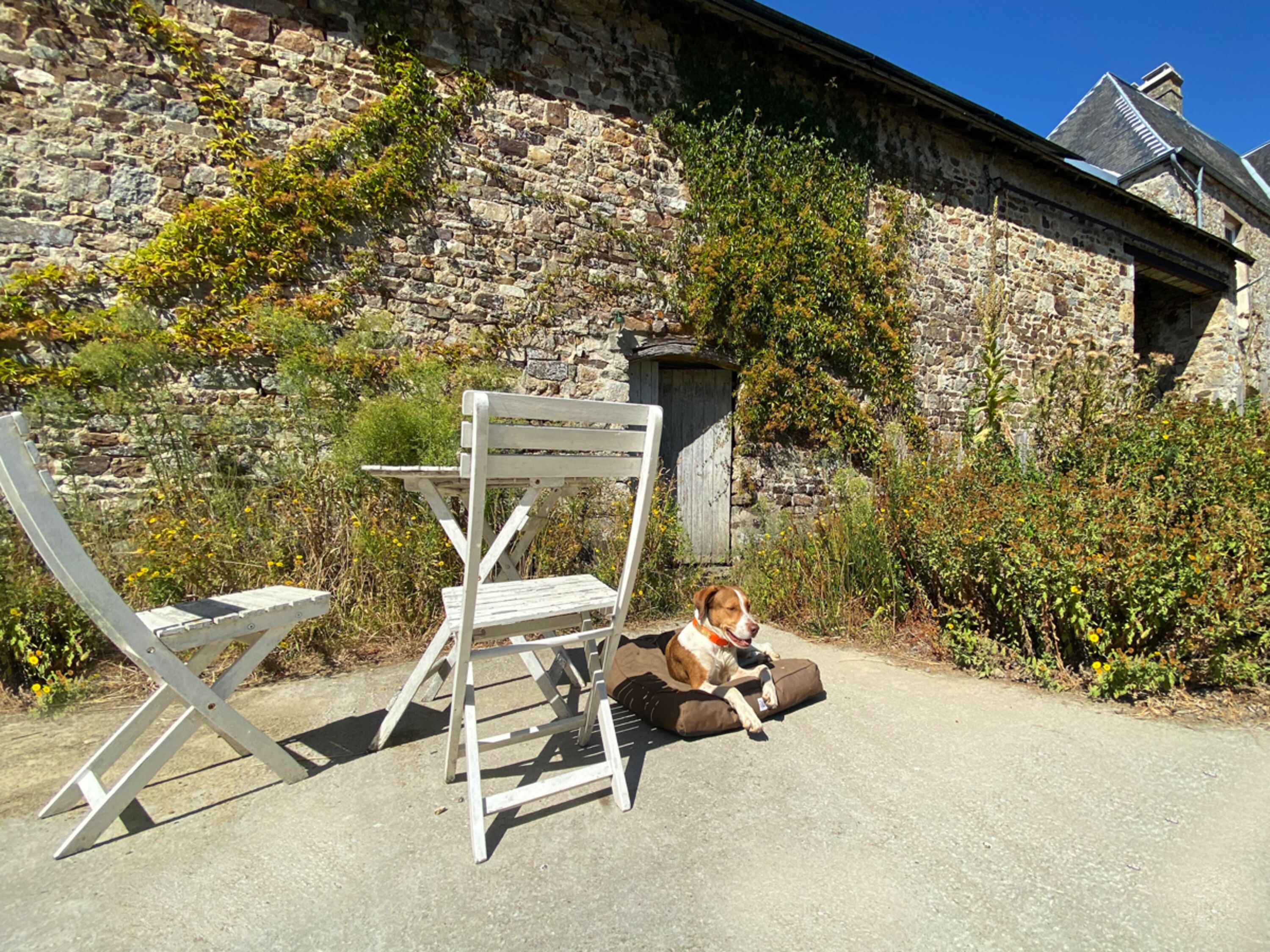 Eingezäunte Terrasse/Garten auf der Ostseite
