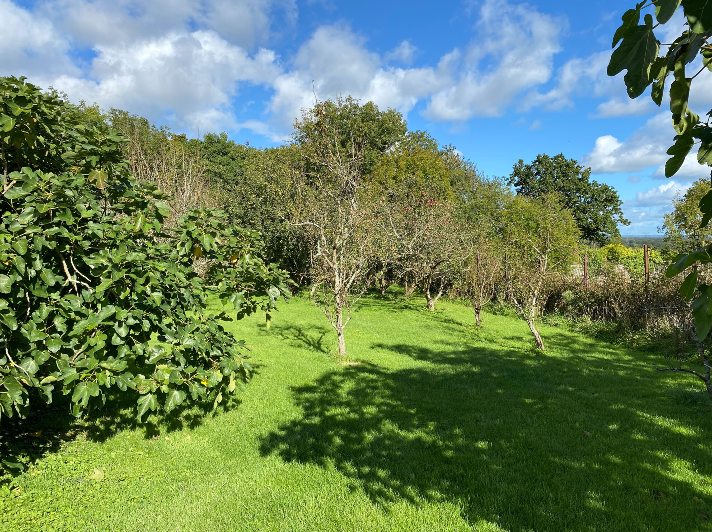 Eingezäunte Obstwiese