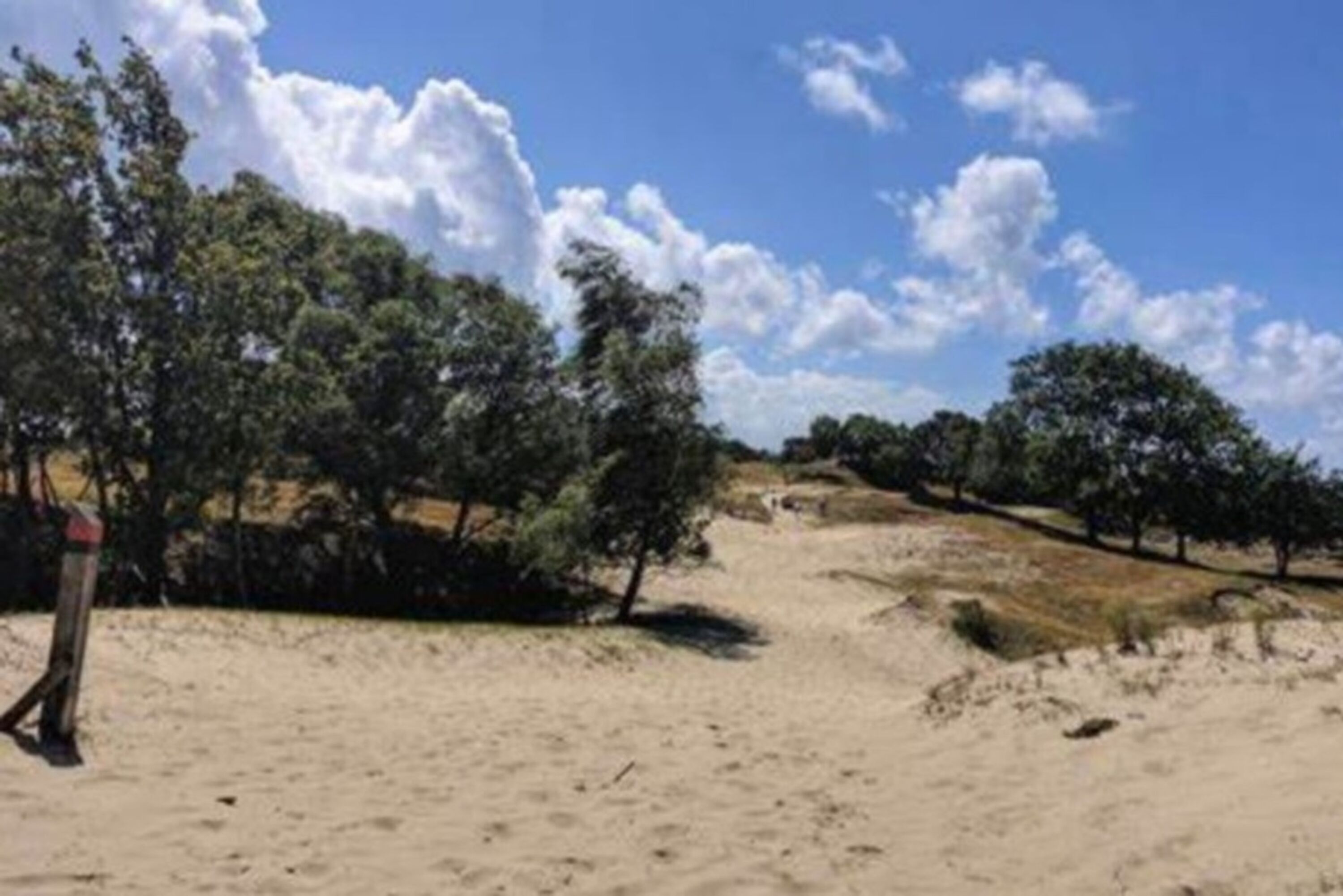 Dünen und Natur bei Burgh-Haamstede – ideal für Spaziergänge beim Urlaub mit Hund in Zeeland