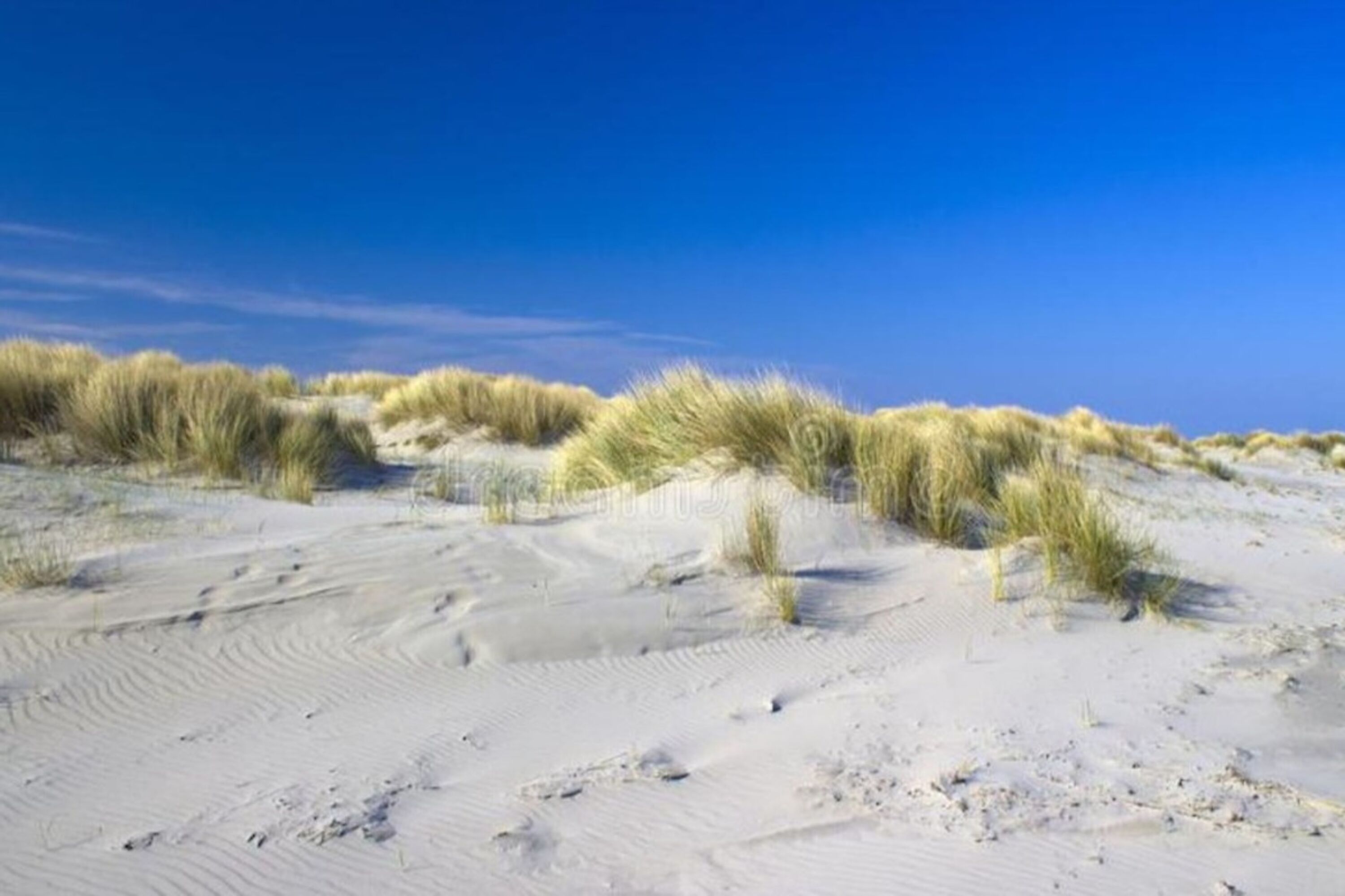 Strand und Dünen bei Renesse