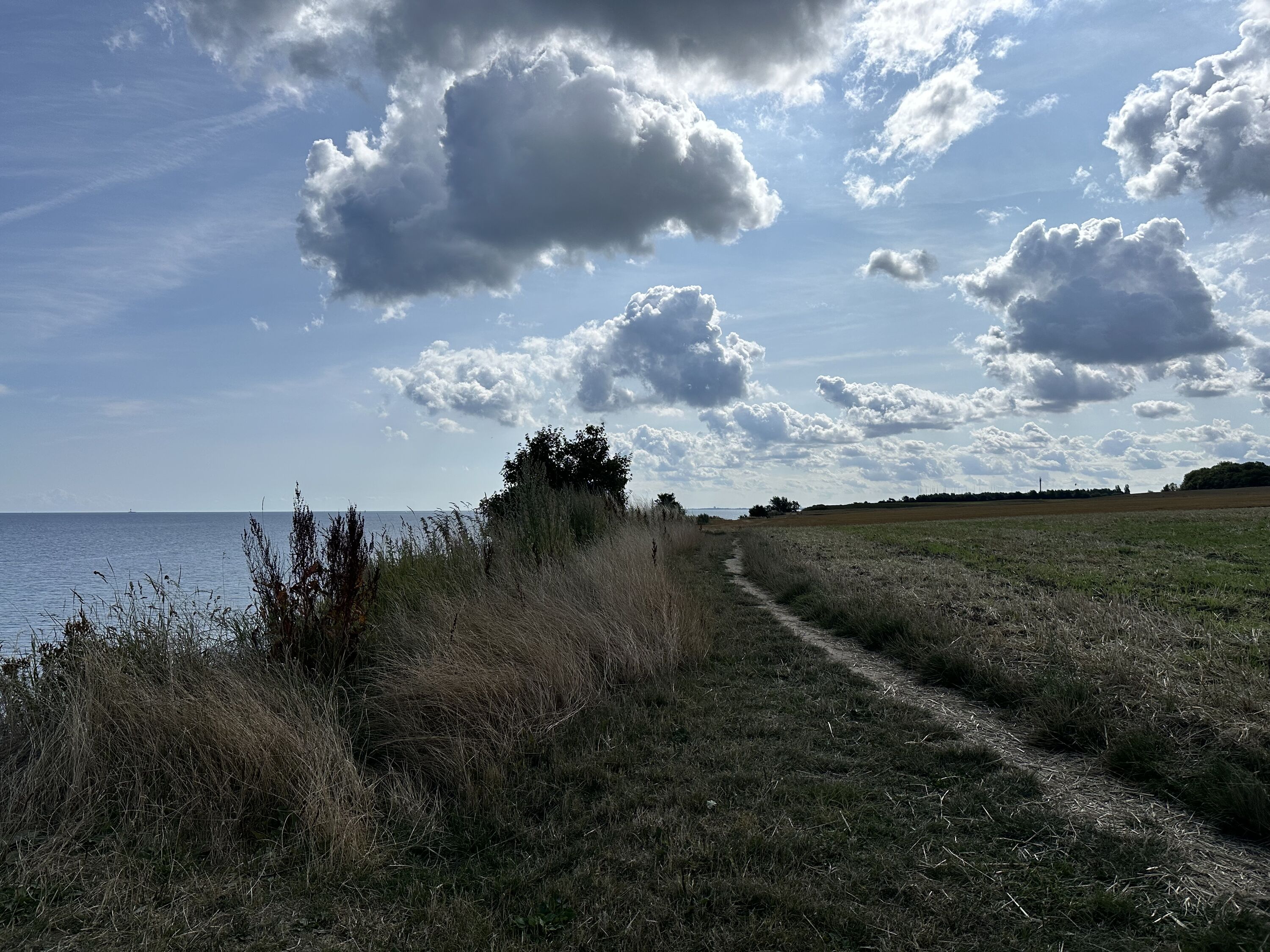Wanderweg in Schwedeneck