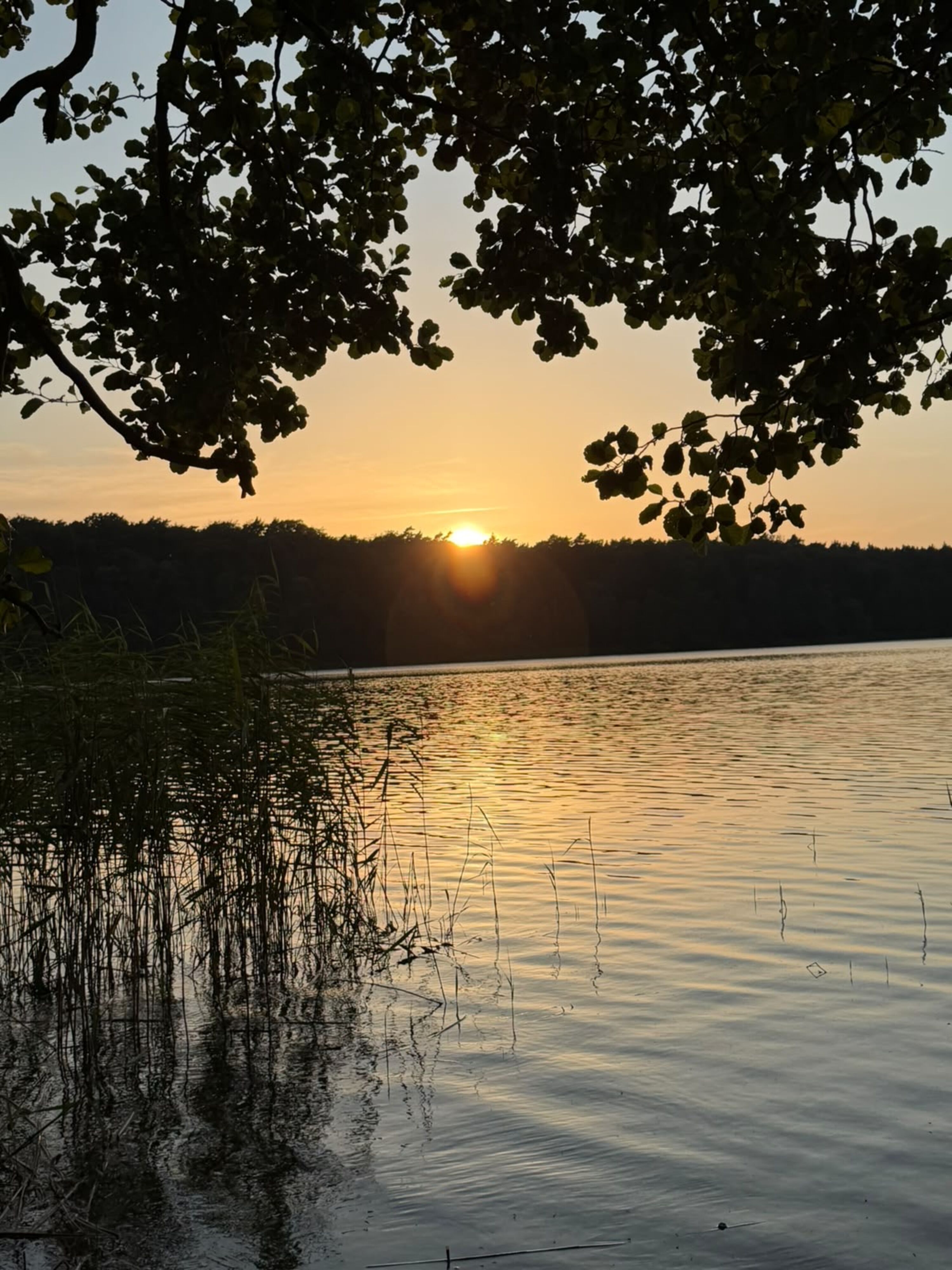 Der See in unmittelbarer Nähe vom Ferienhaus