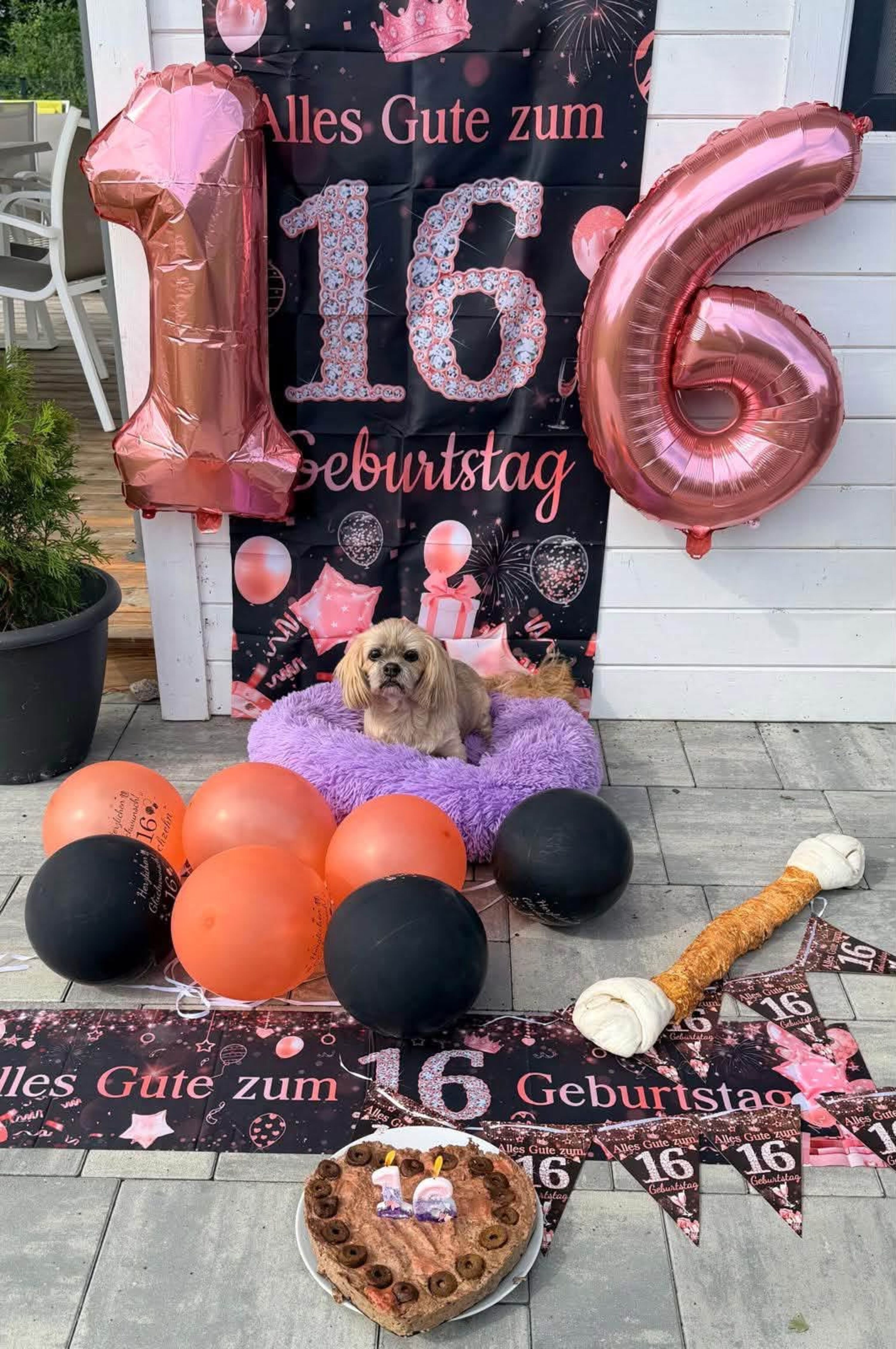 Bild 30