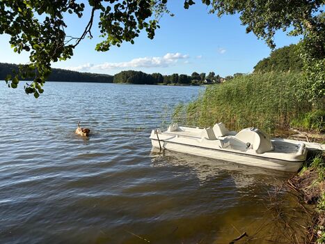 Traumhafte Lage: Nur 350 m zum See! Schwimmen für Mensch & Hund – Tretboot und Kanu stehen bereit.