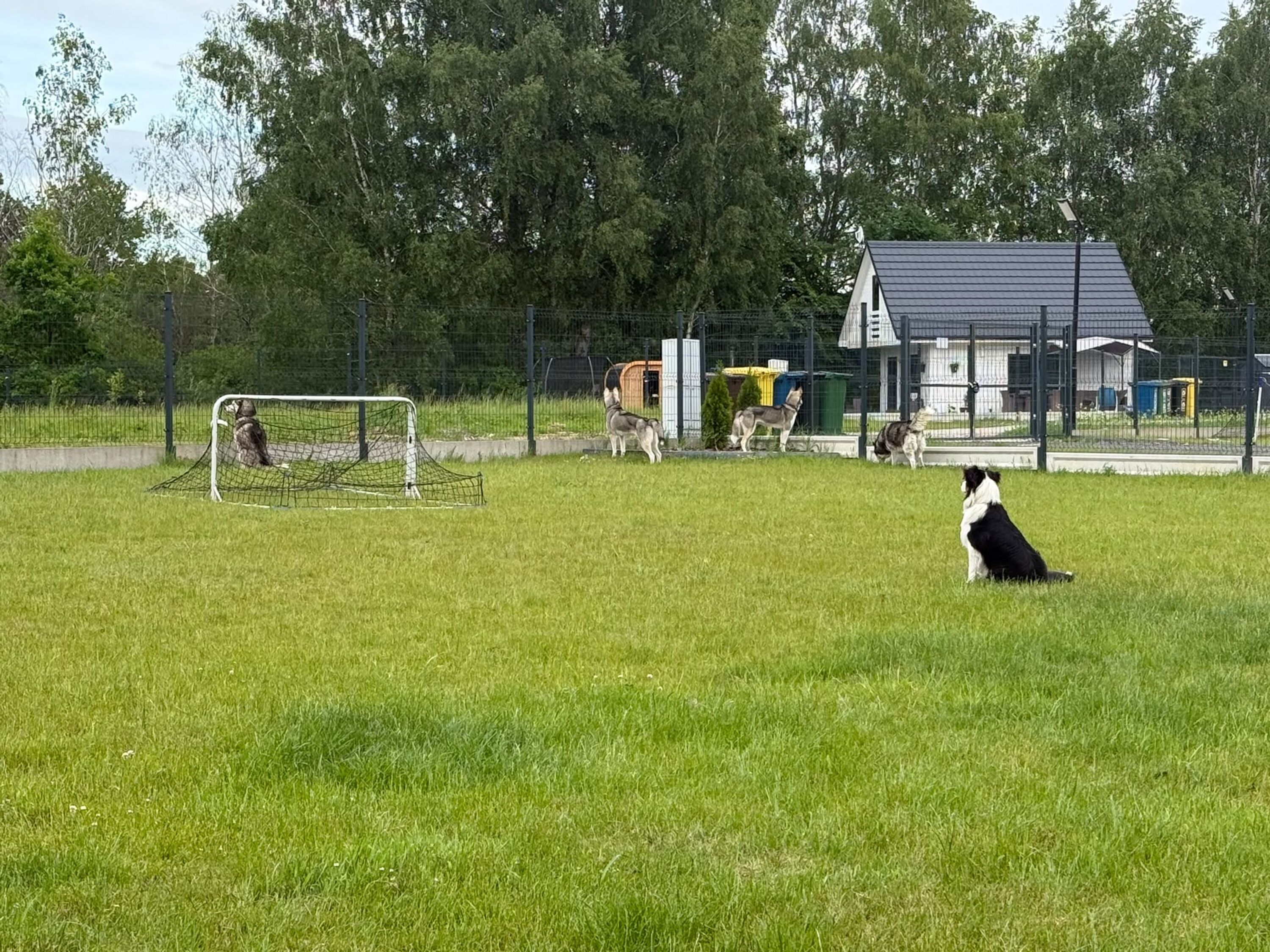 Bild 17