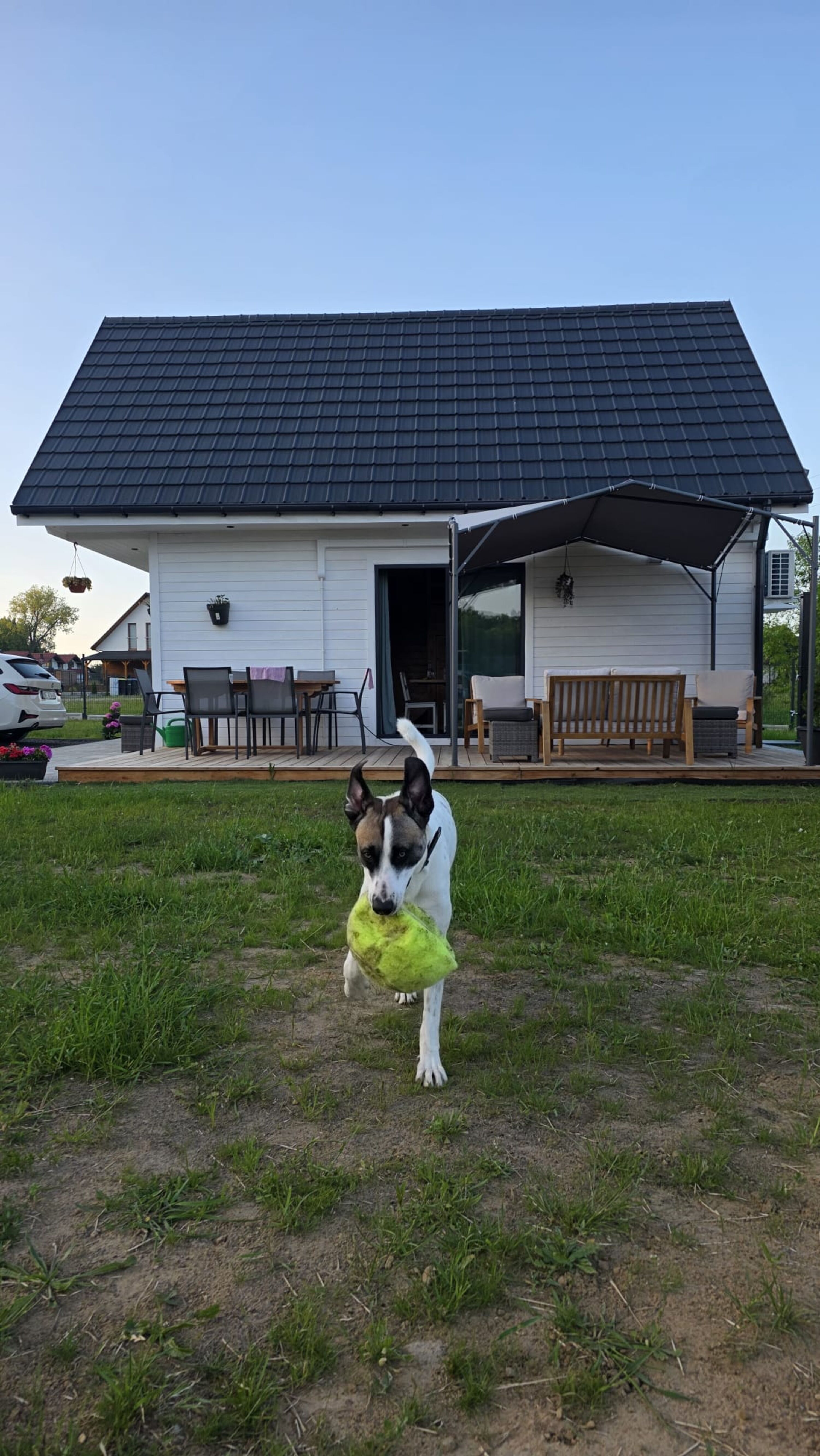 Entspannte Stunden auf der überdachten Terrasse genießen, während die Vierbeiner sicher im Garten toben.