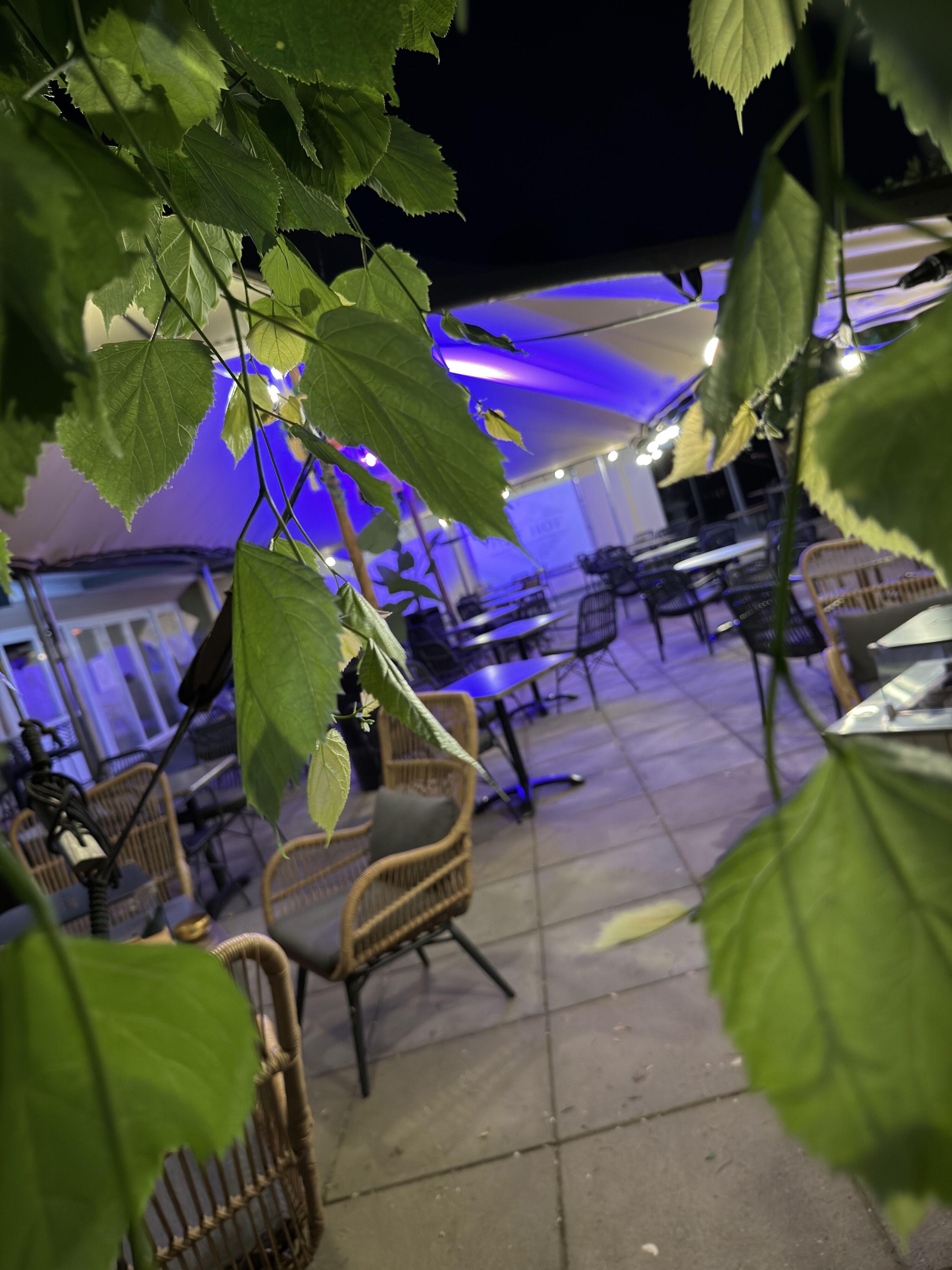 Außenterrasse bei bei Nacht