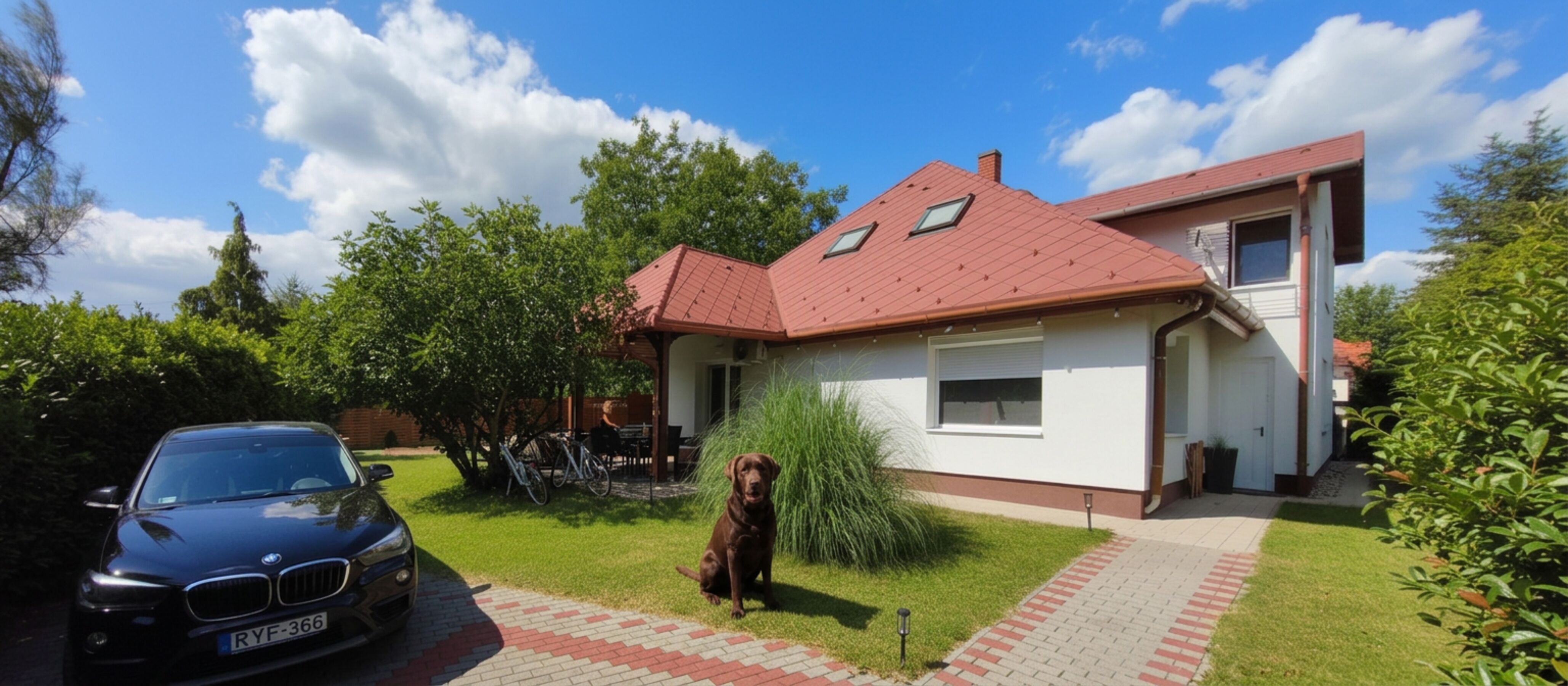 Garten mit Brownie
